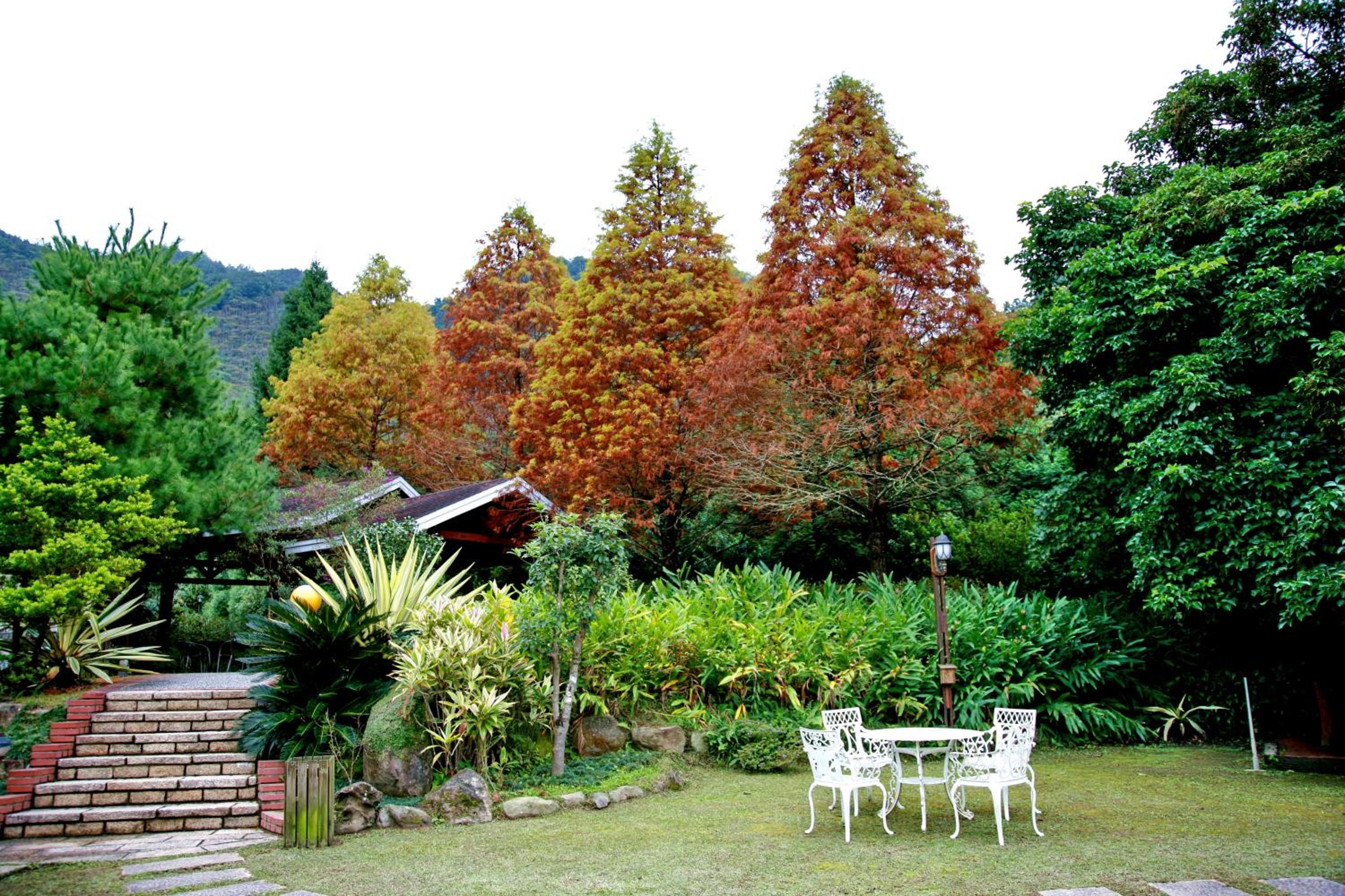 Rong Yuan Gu Homestay view 5