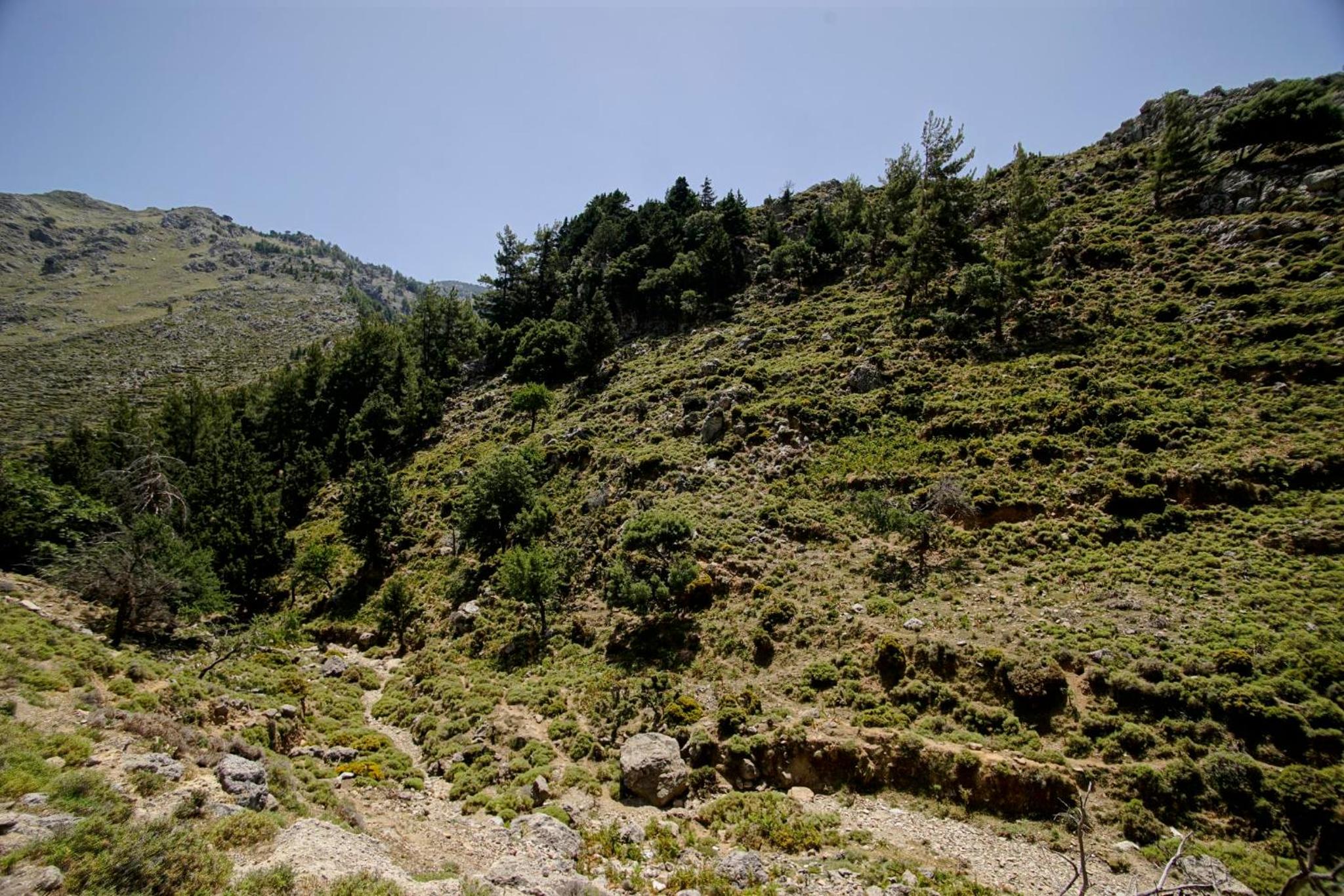 Photo 28