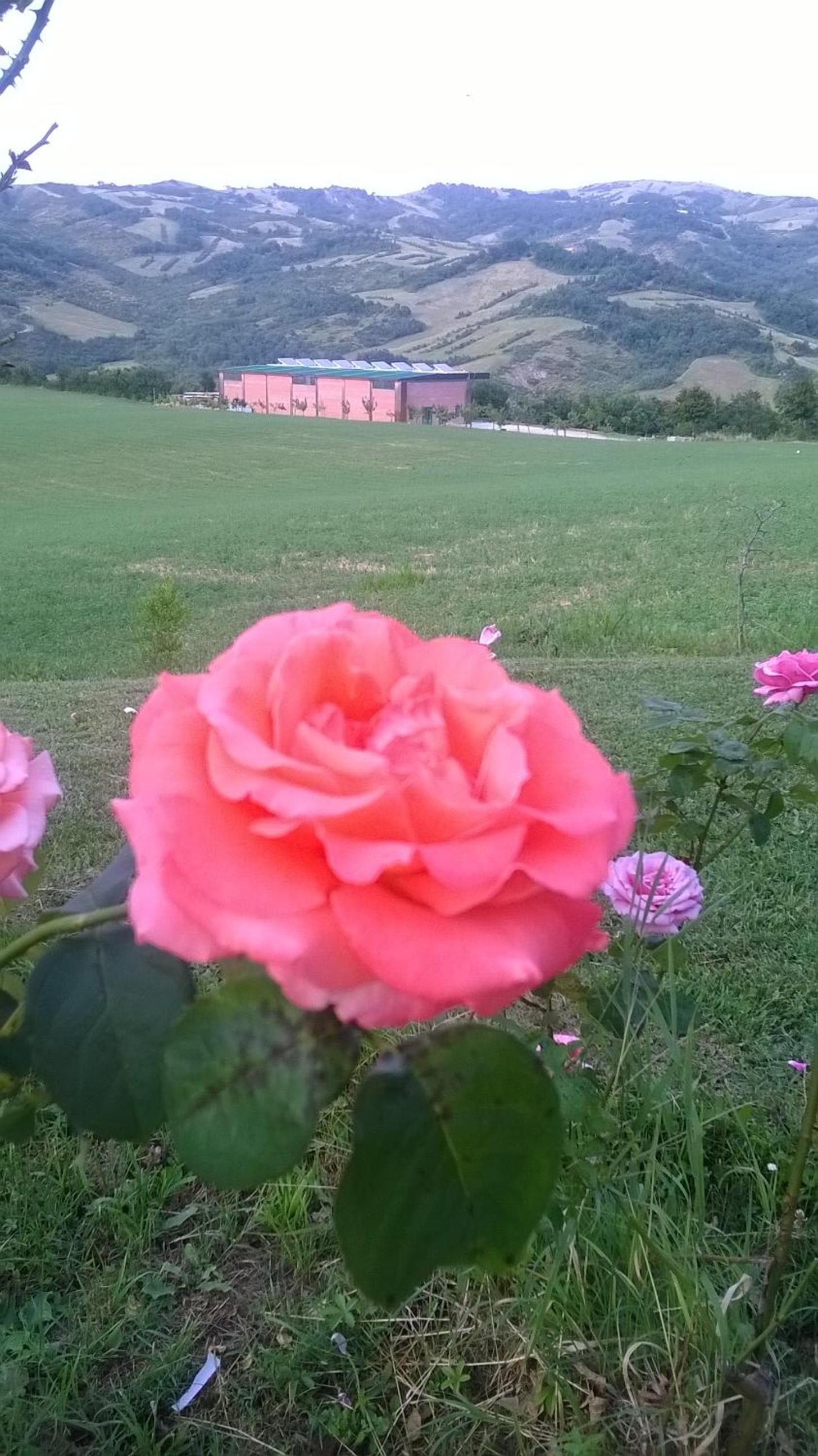 Agriturismo Prato degli Angeli