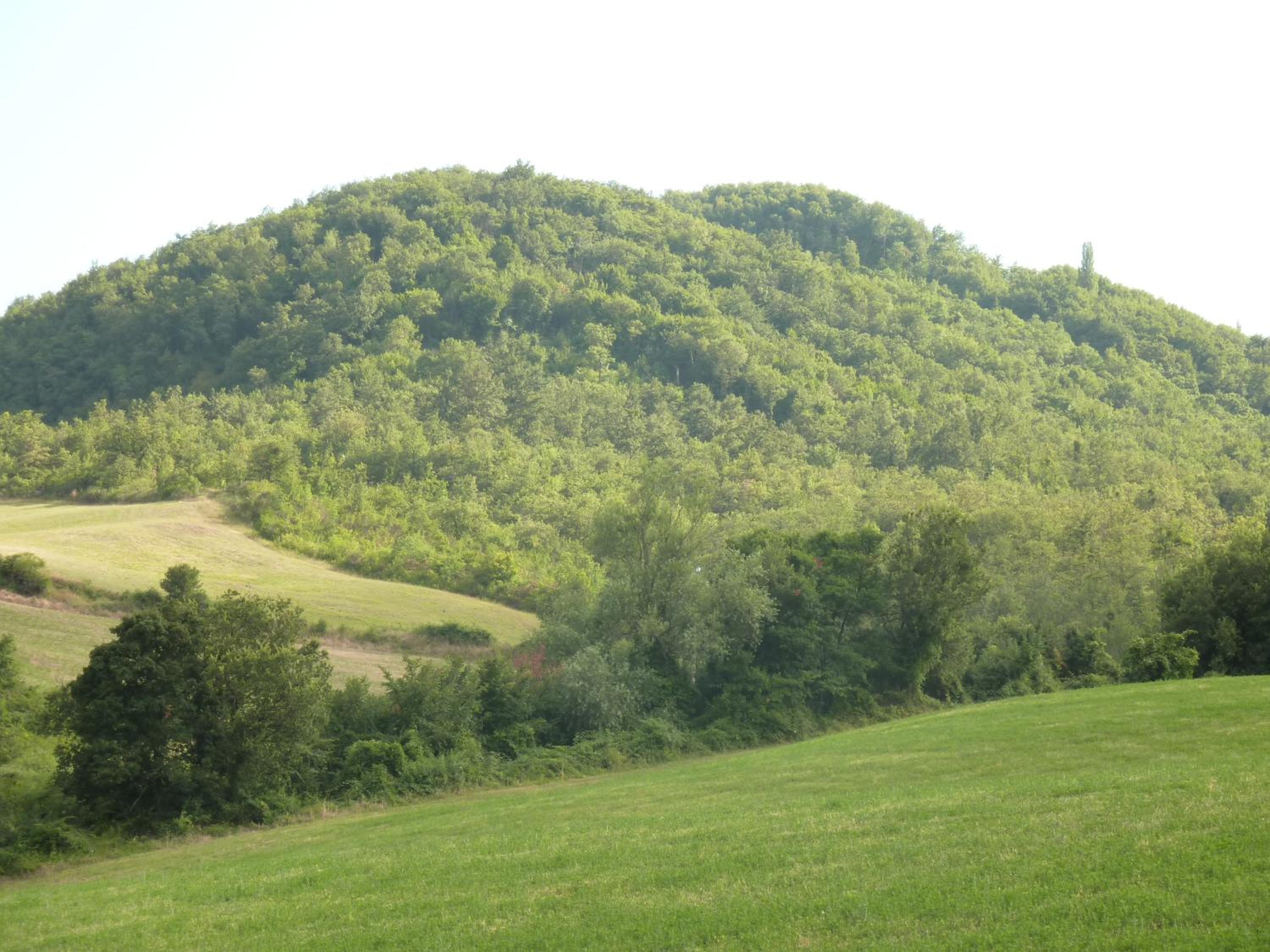 Agriturismo Prato degli Angeli