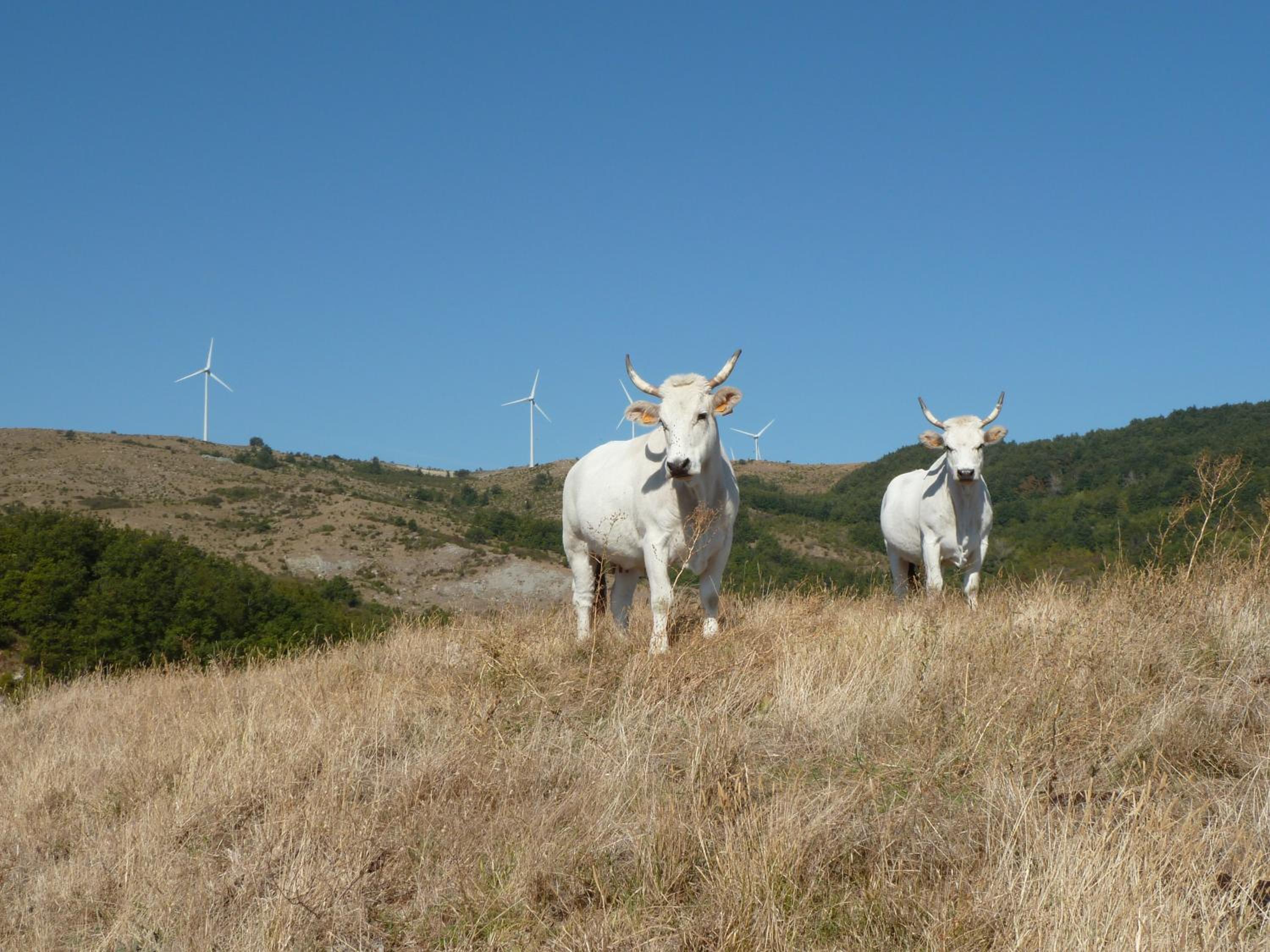 Agriturismo Prato degli Angeli