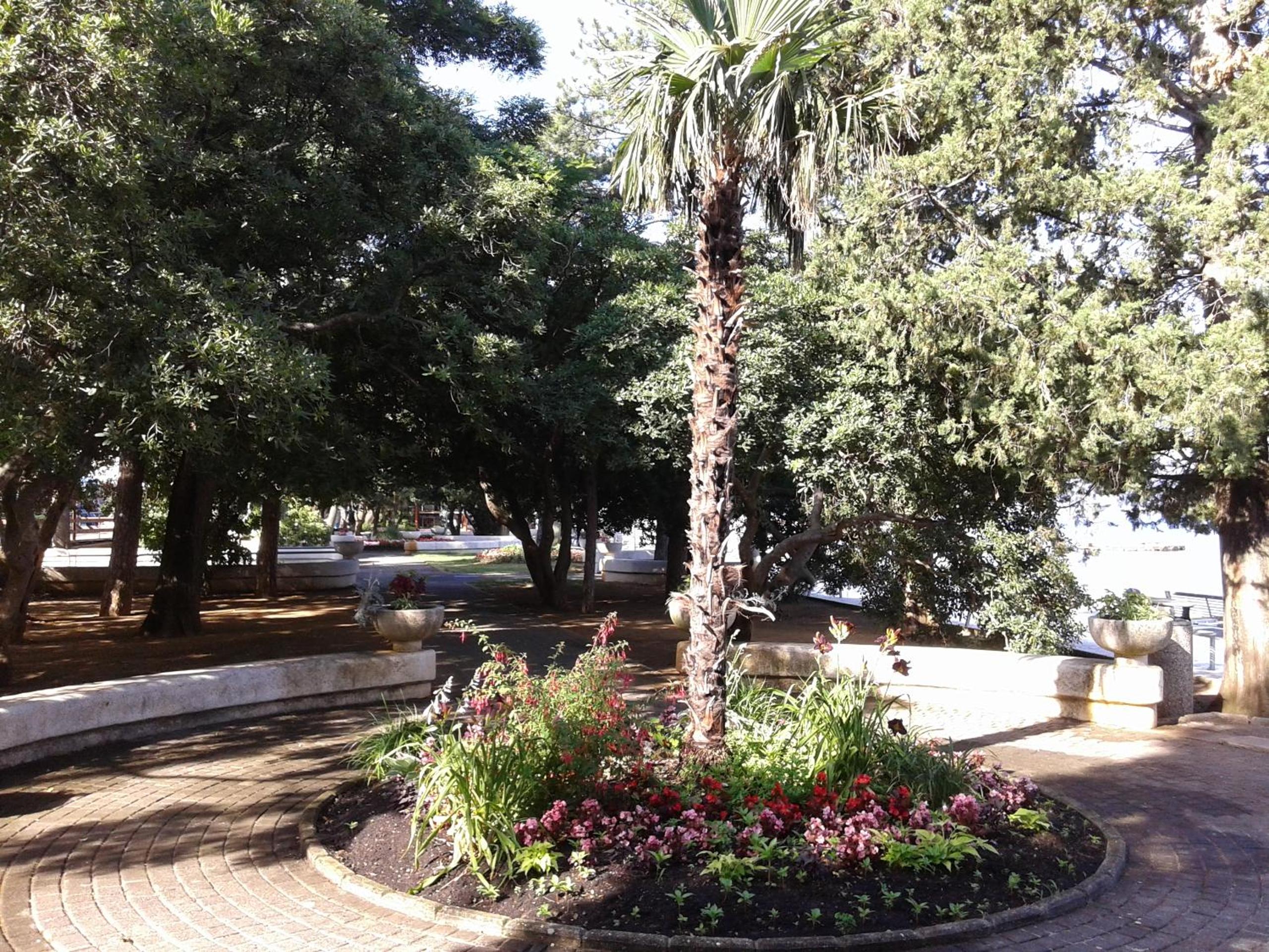Photo 22