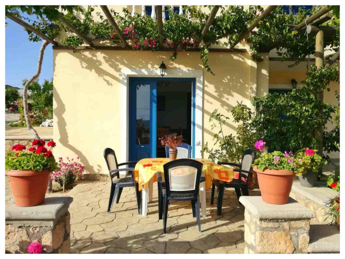 Venetia's Garden view 4