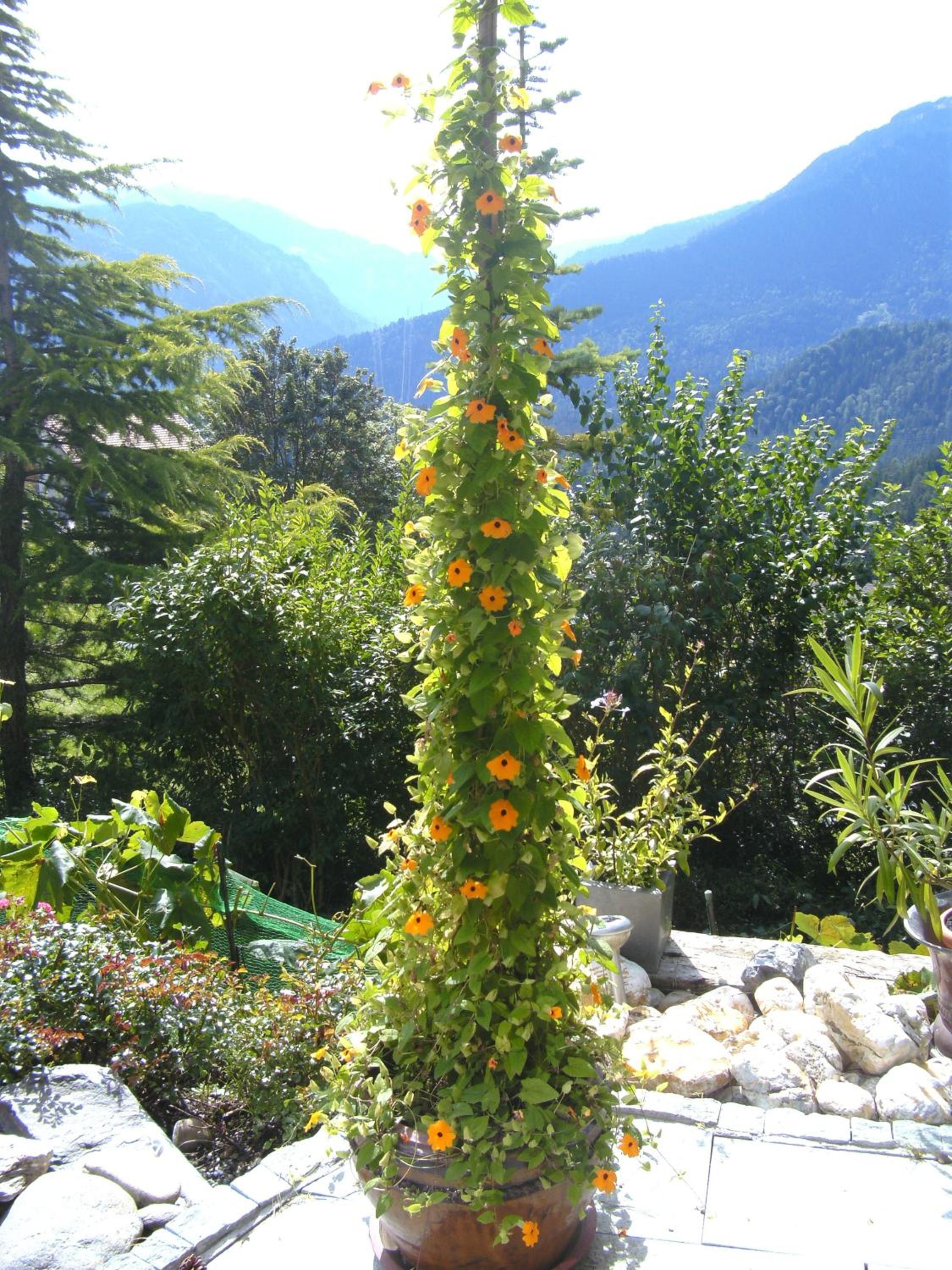 Bed & Breakfast La Val