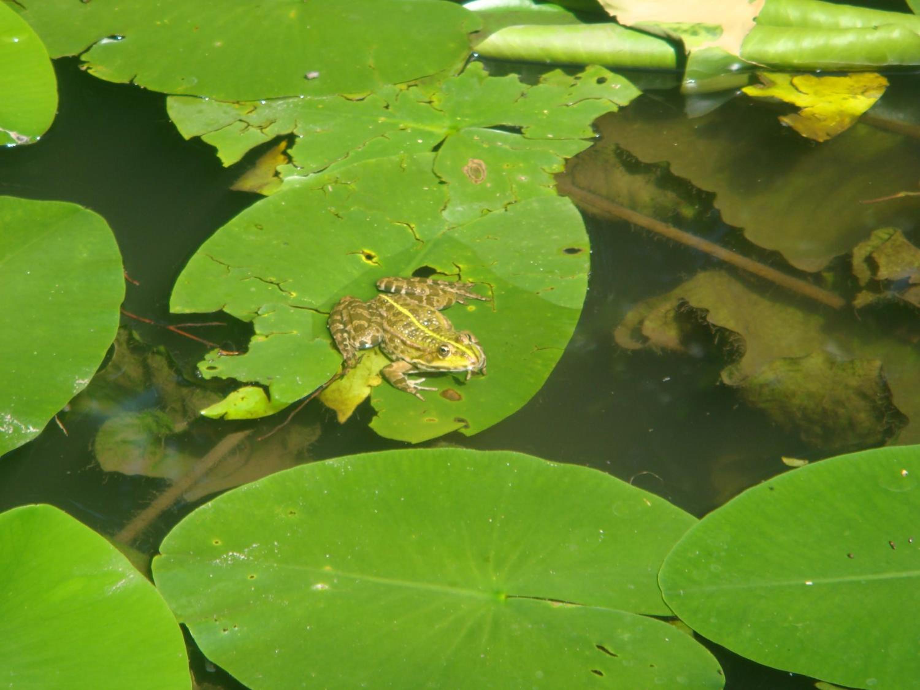 Bed & Breakfast La Val