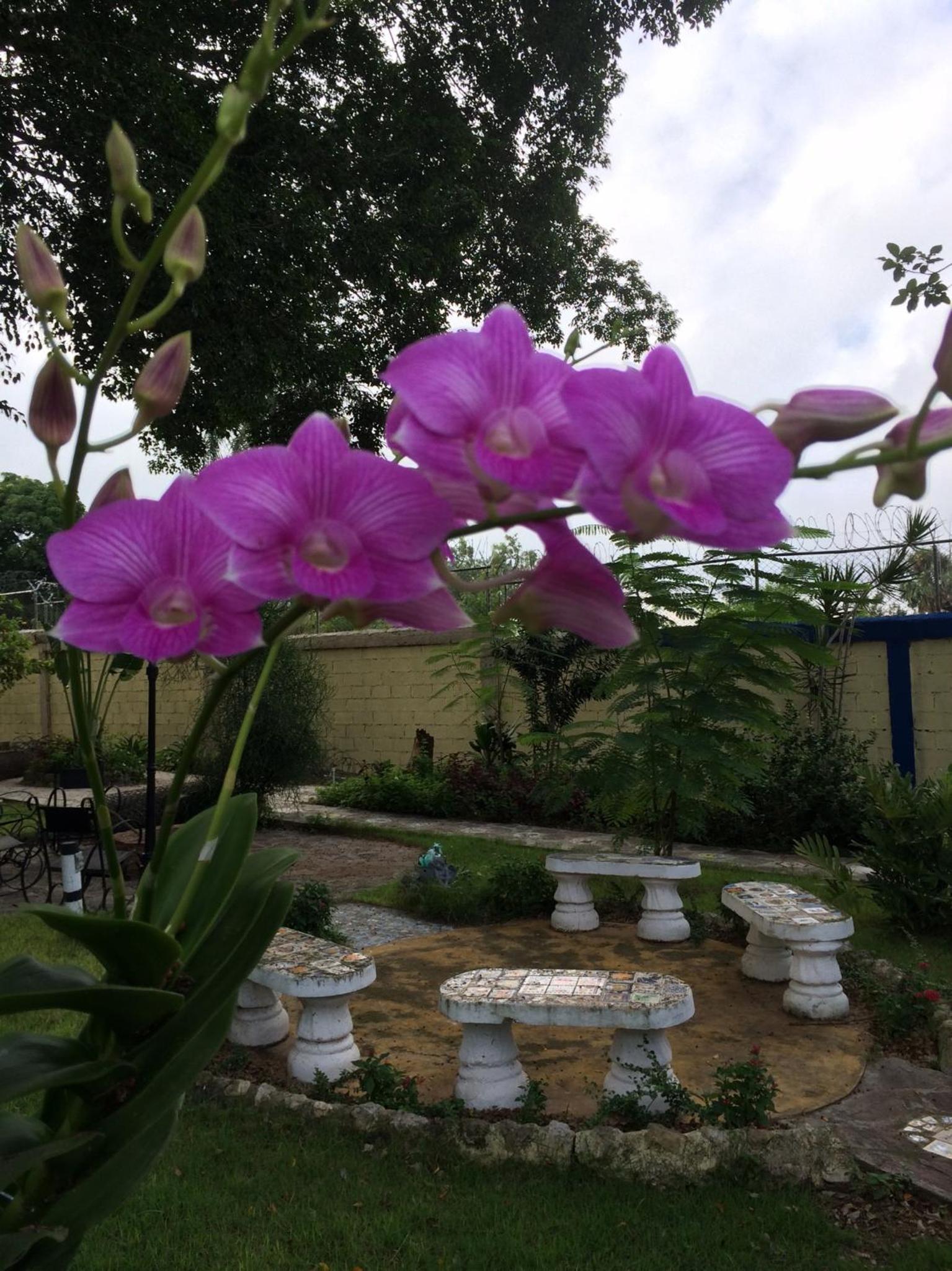 Sana El Jardin Secreto