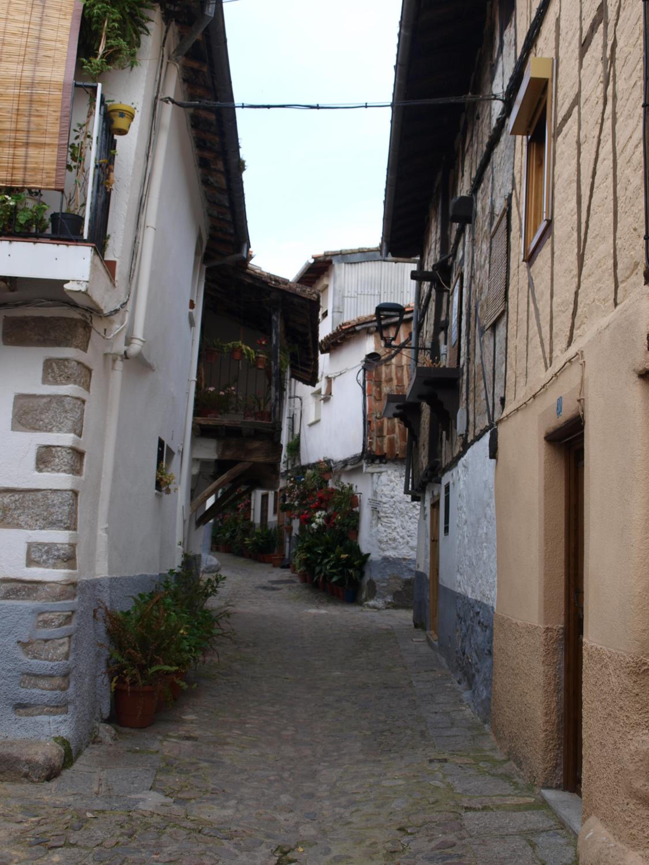 Photo 48