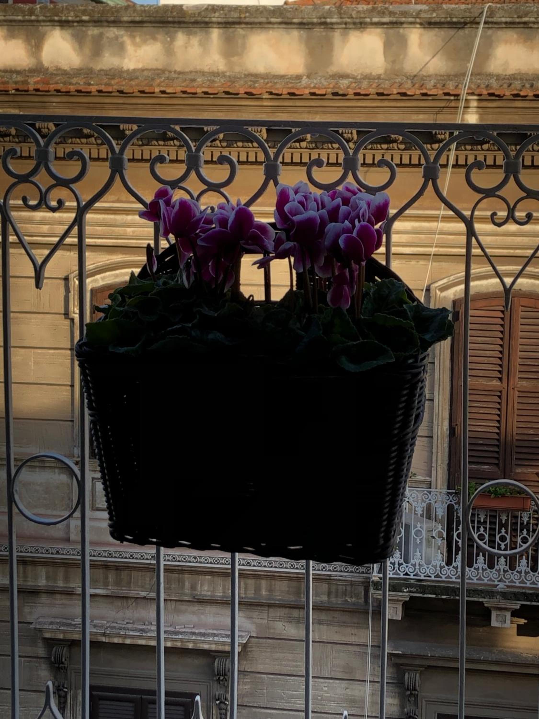Petite Maison TA photo 2