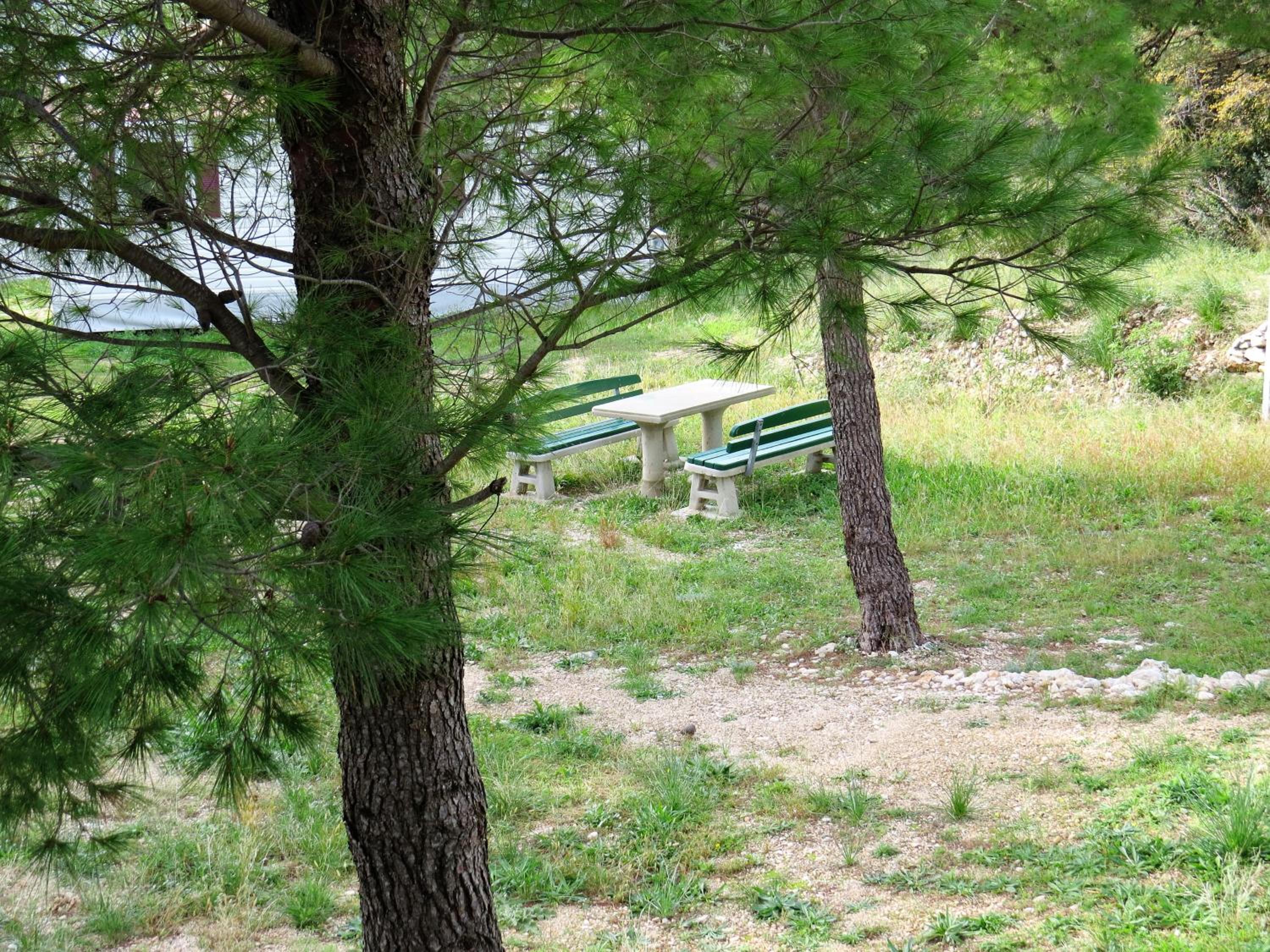 Photo 41