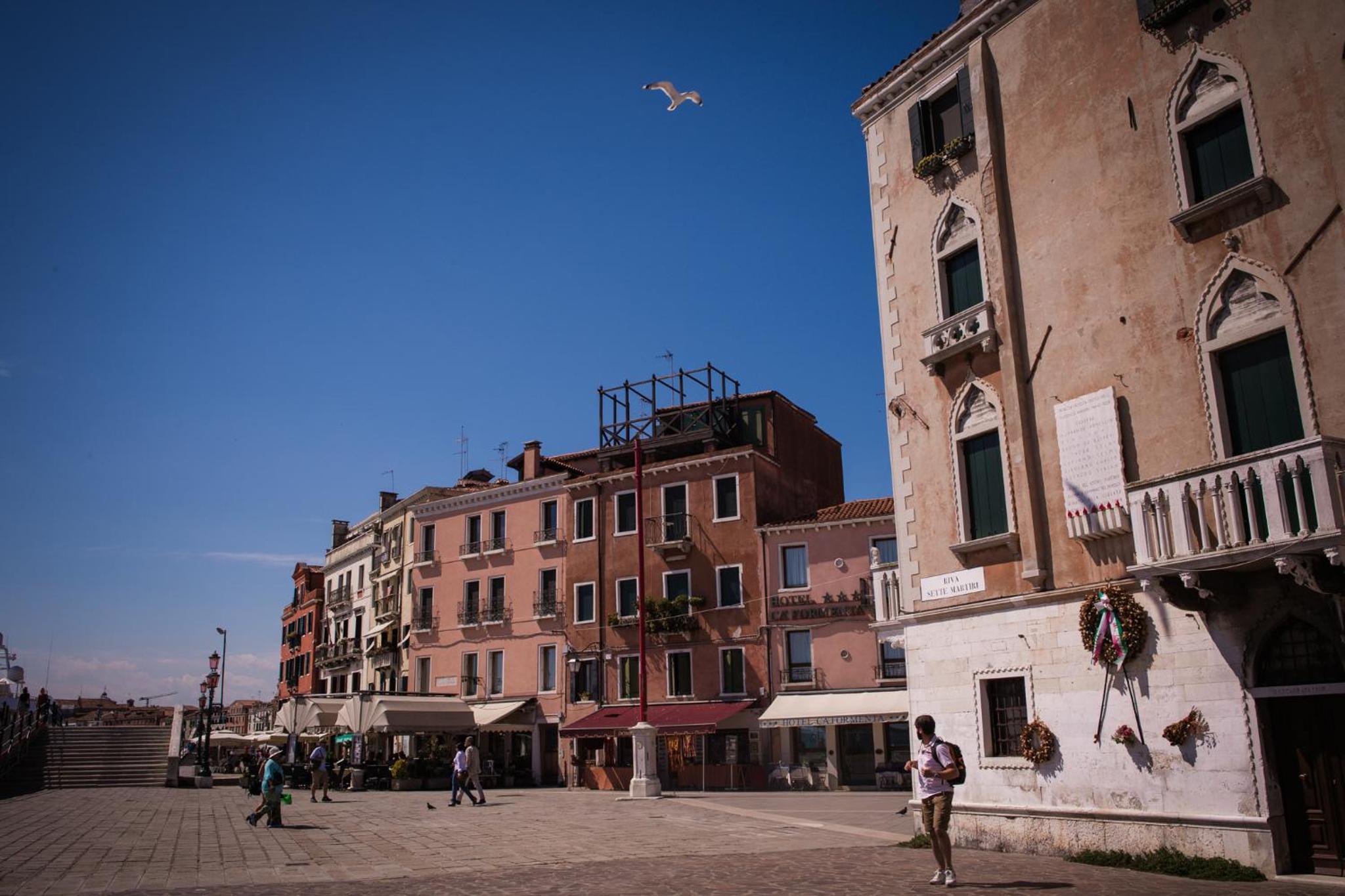Venezia Biennale Bianco & Rosso