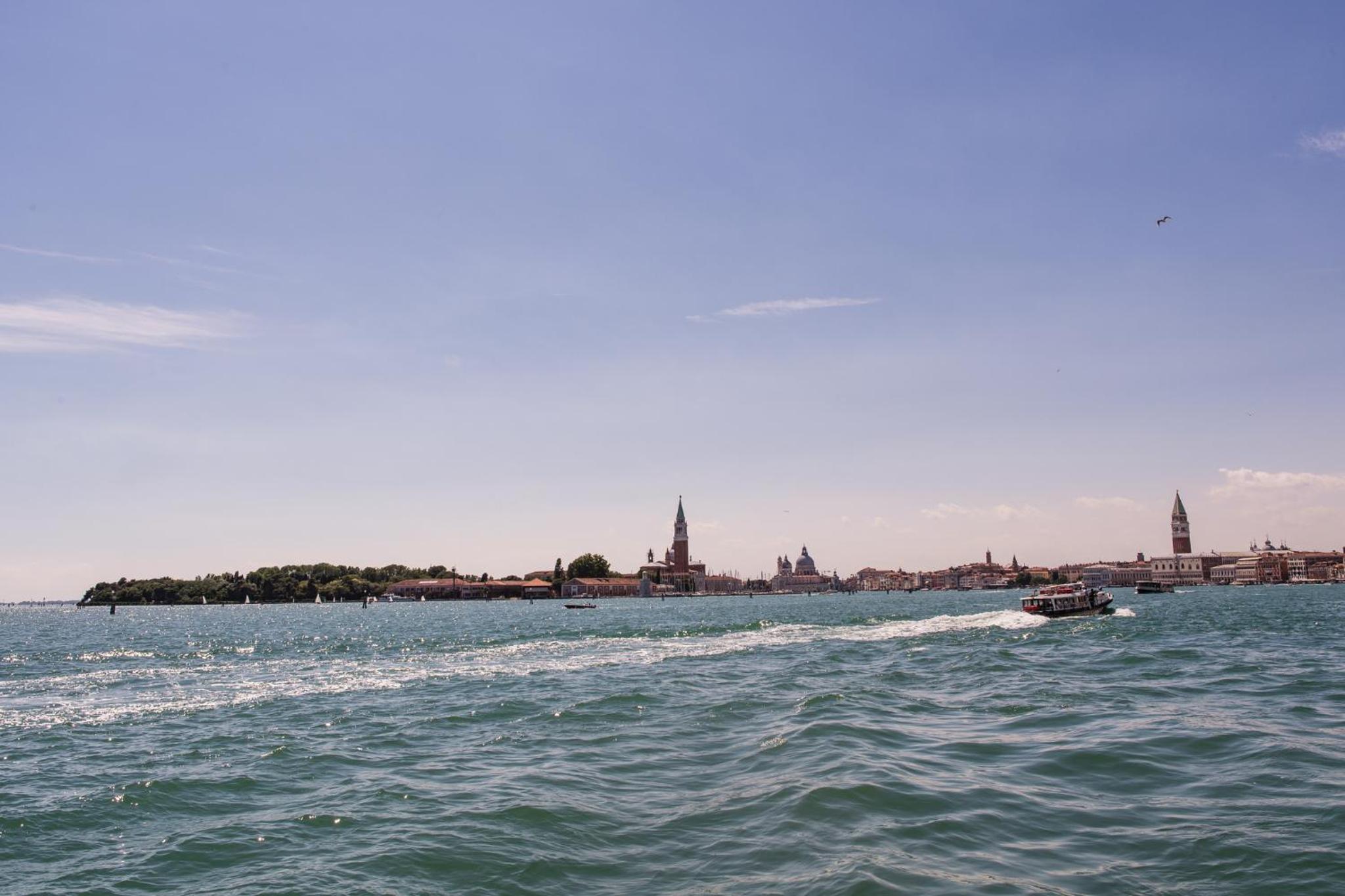 Venezia Biennale Bianco & Rosso