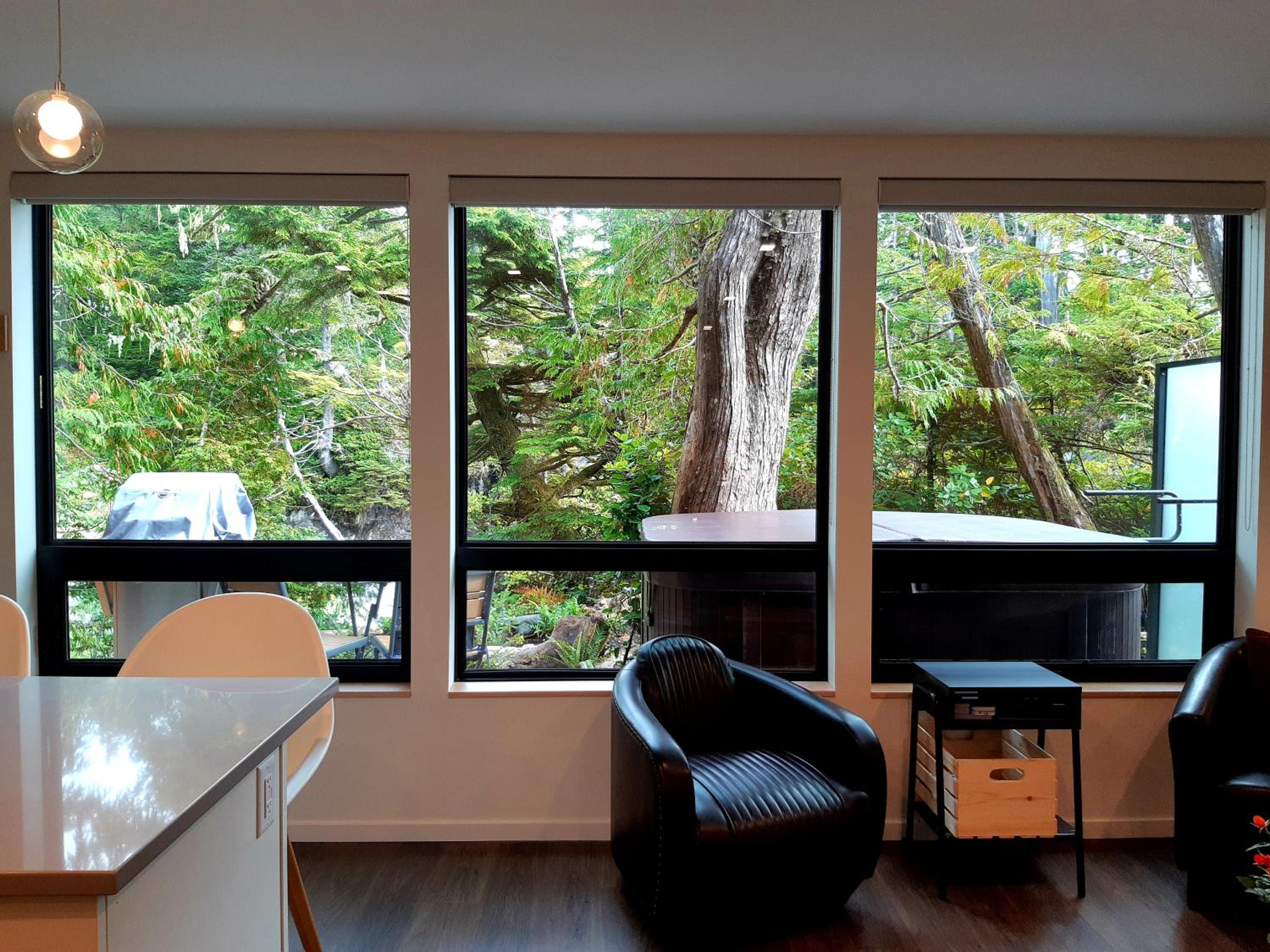 Storm Cove Suites