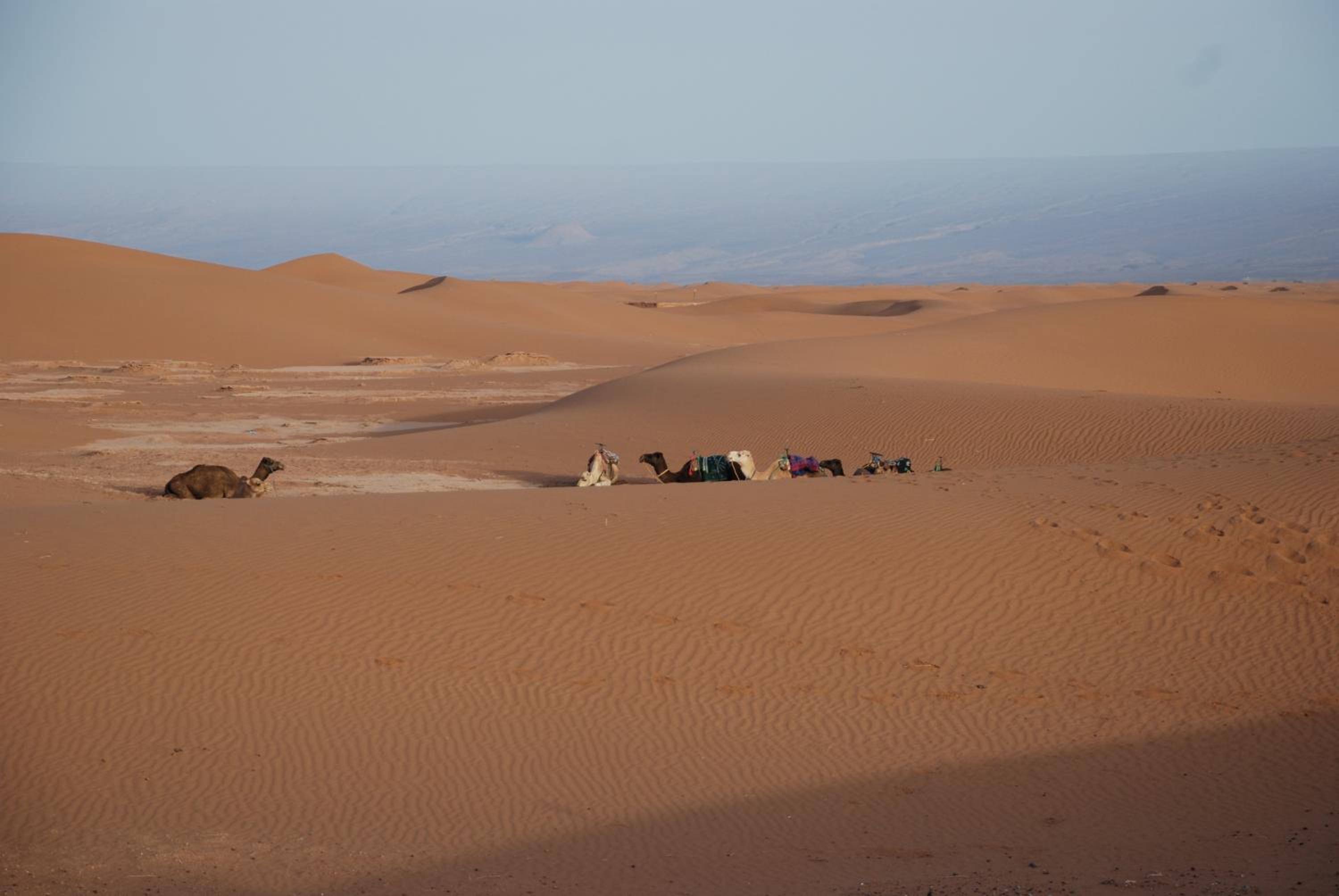 Kasbah Les Alizes Du Desert