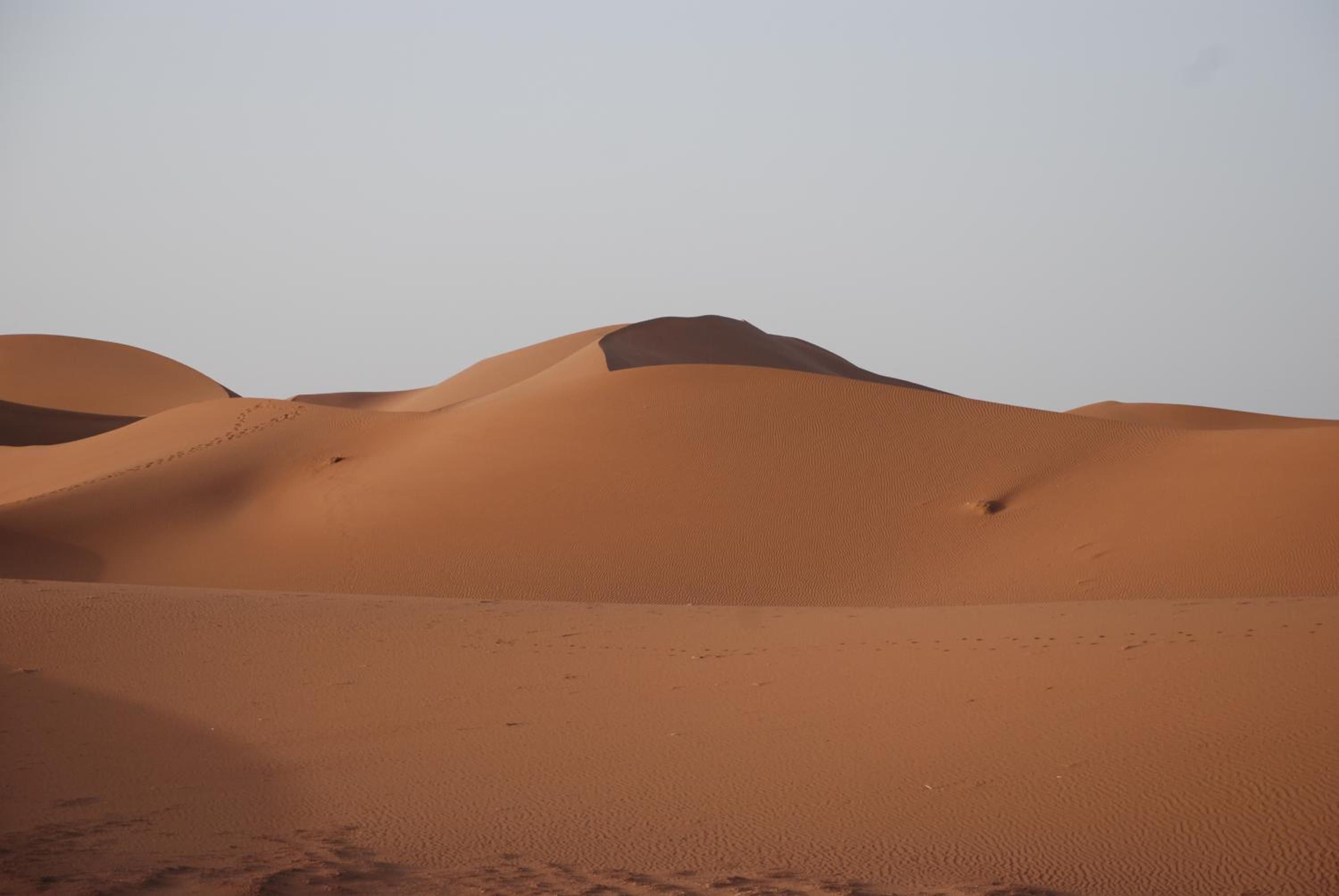 Kasbah Les Alizes Du Desert