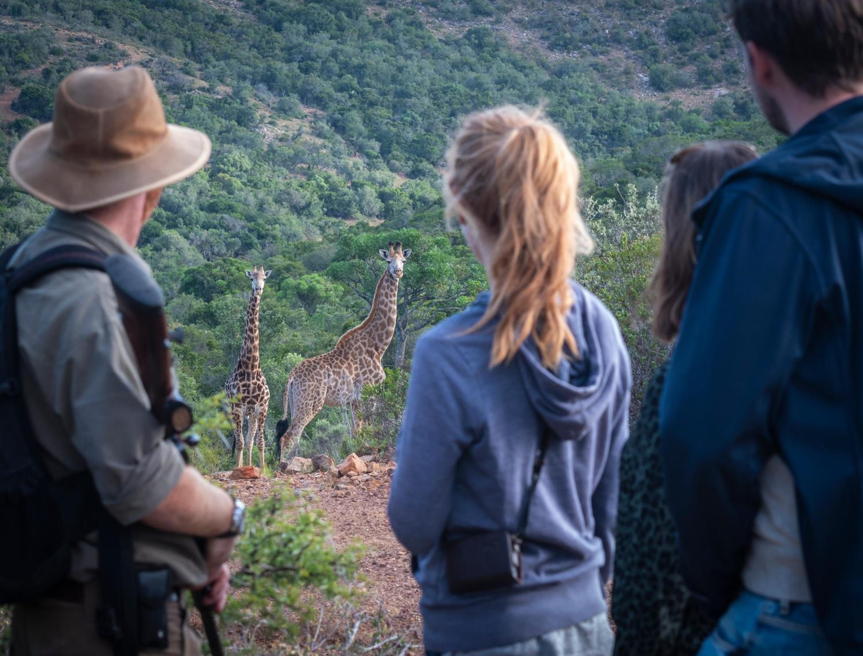 Addo Elephant Safari Lodge - Bellevue Forest Reserve