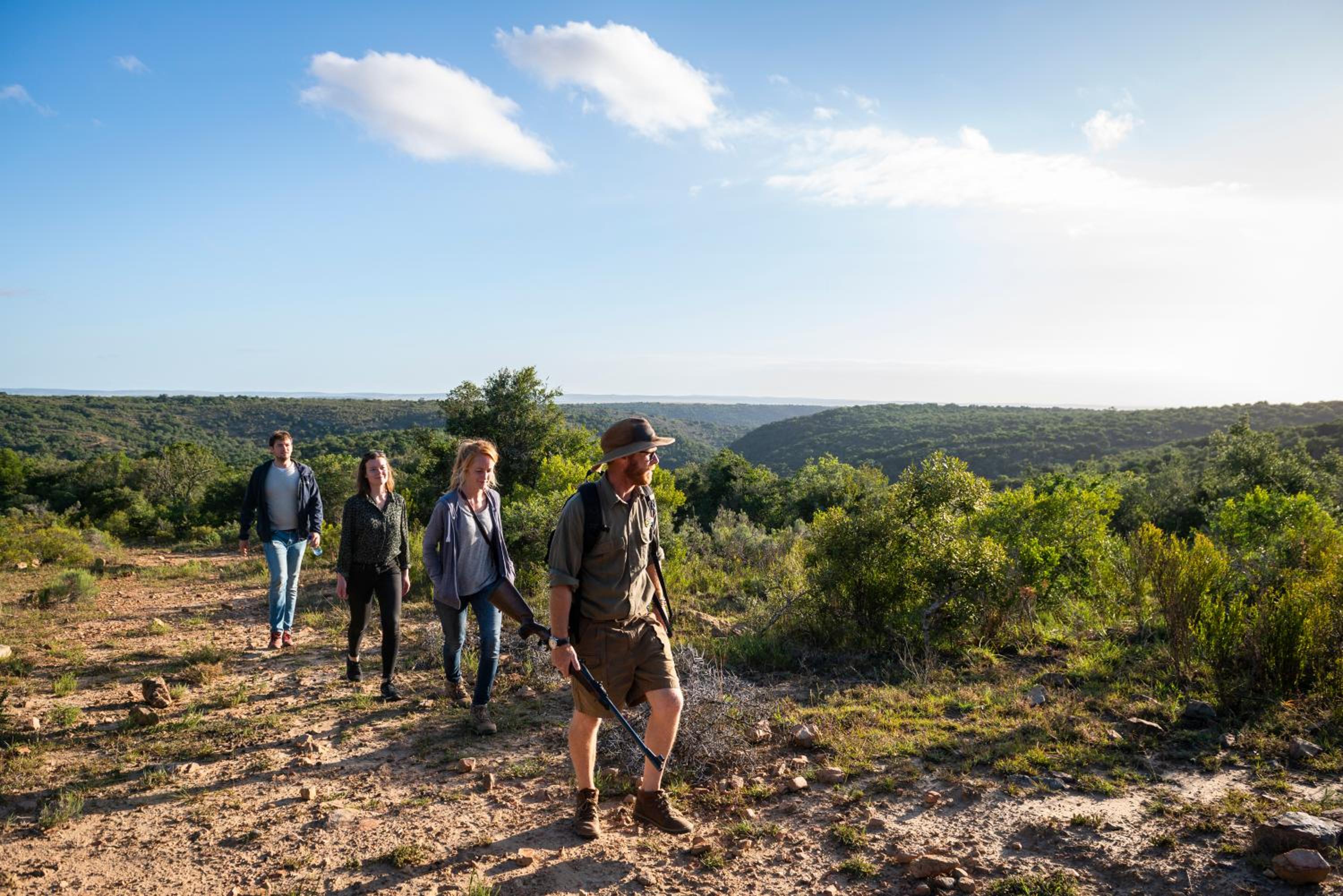 Addo Elephant Safari Lodge - Bellevue Forest Reserve