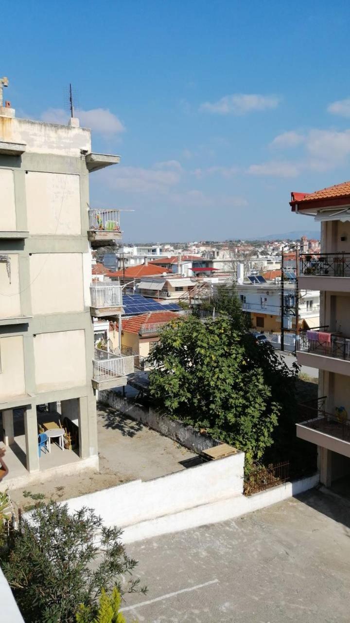 Apartment 60m from sea! view 2