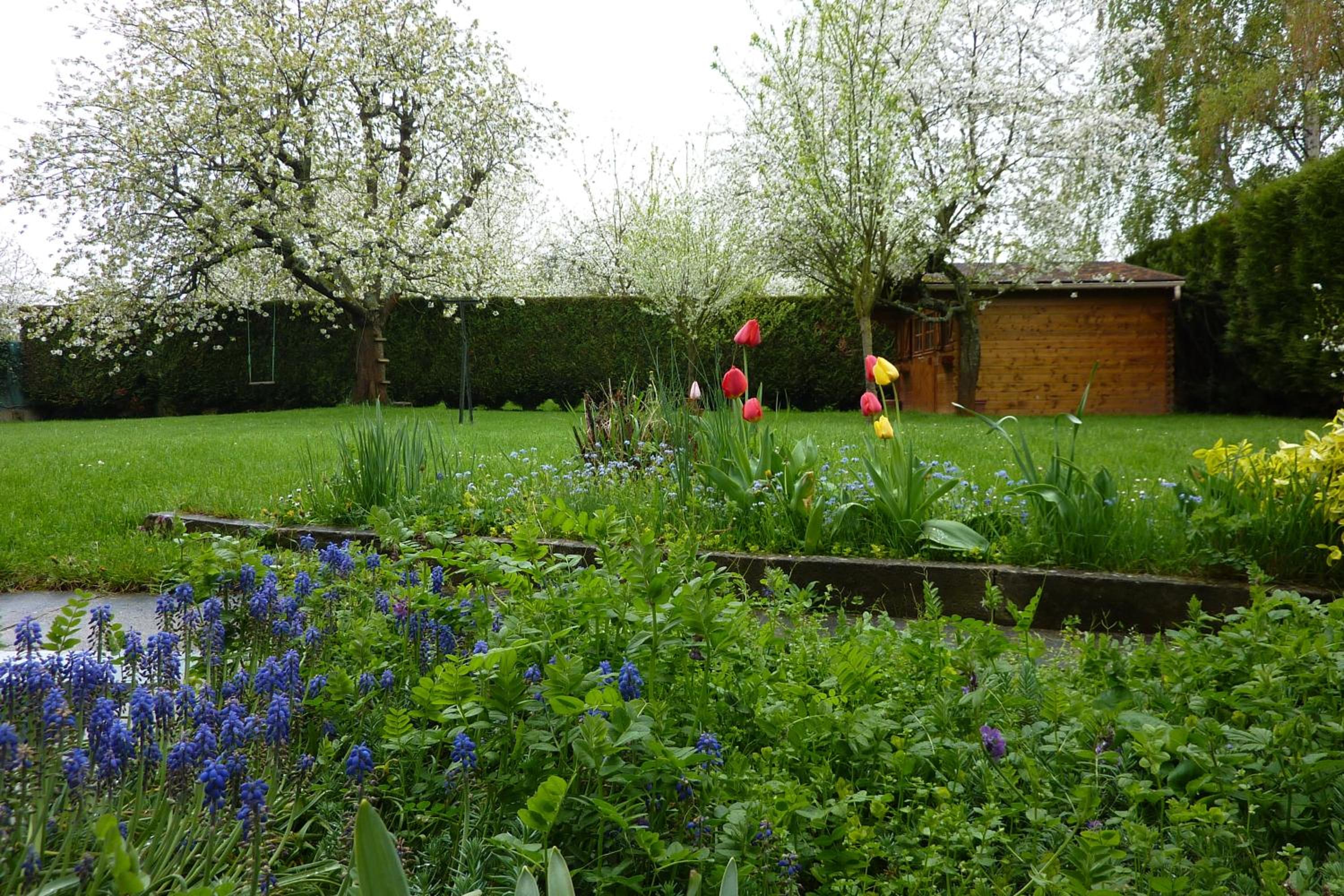 Photo 19