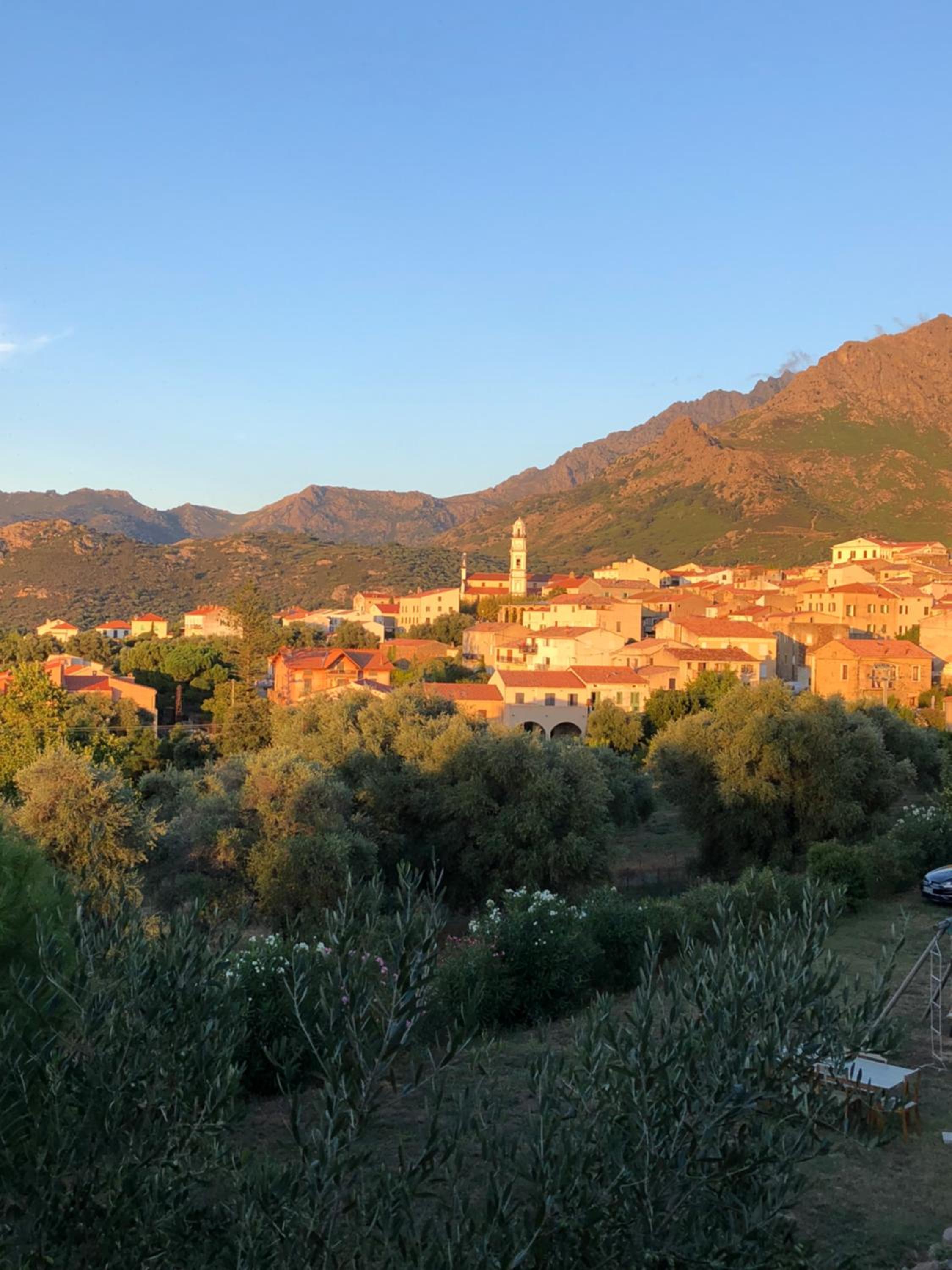 Au pied des oliviers view 4