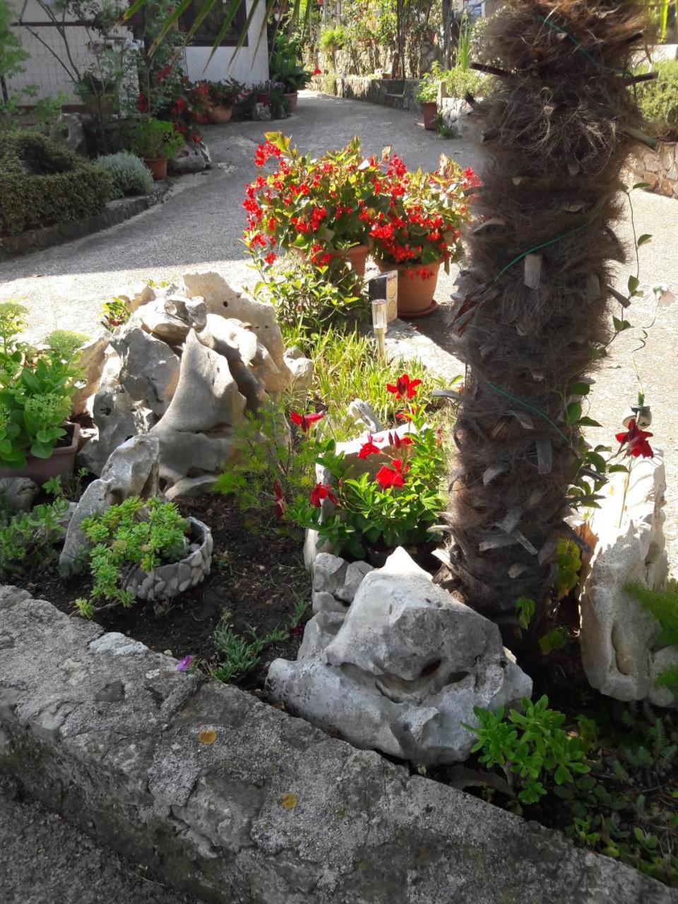 Photo 33