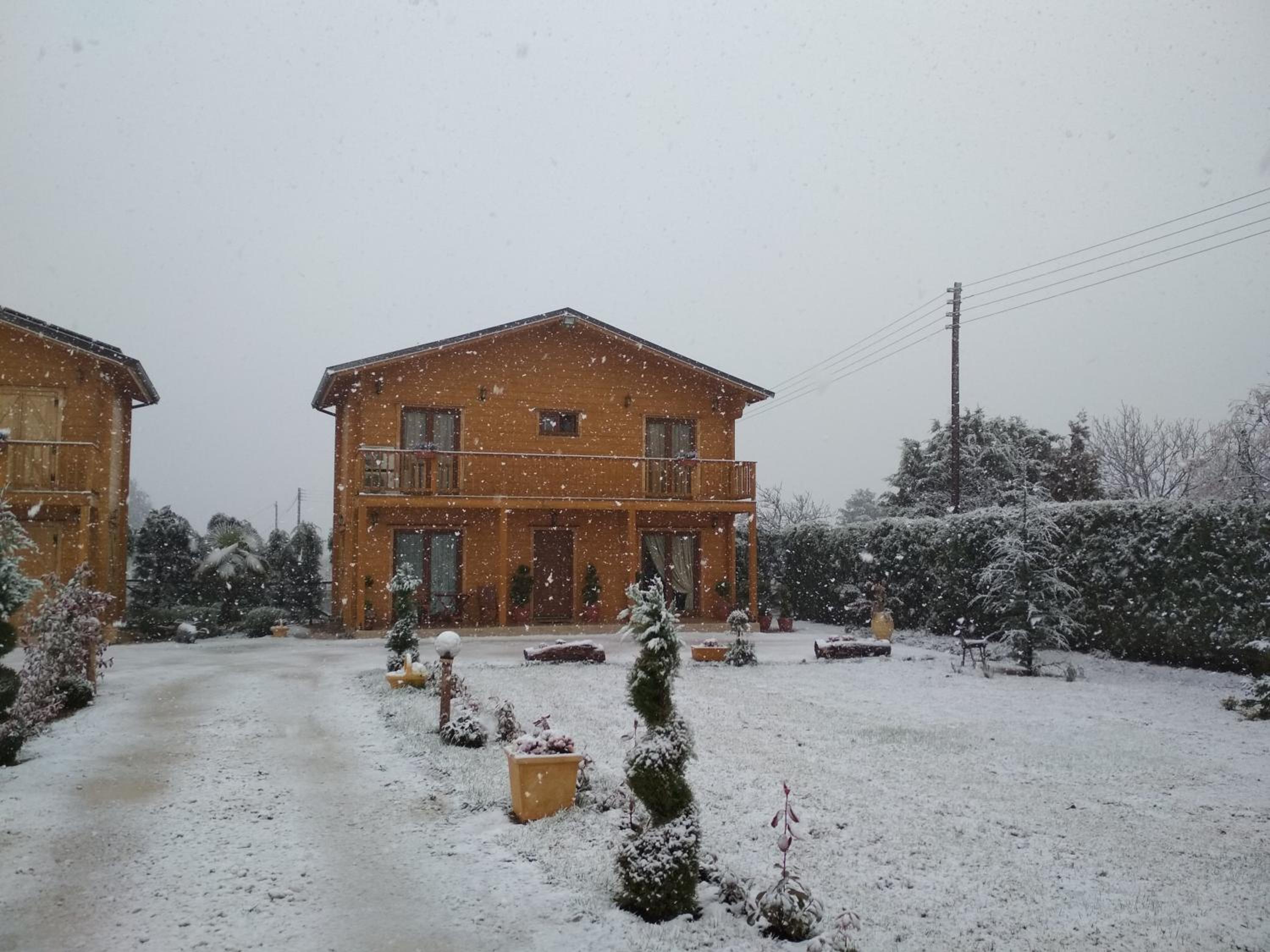 Photo 15