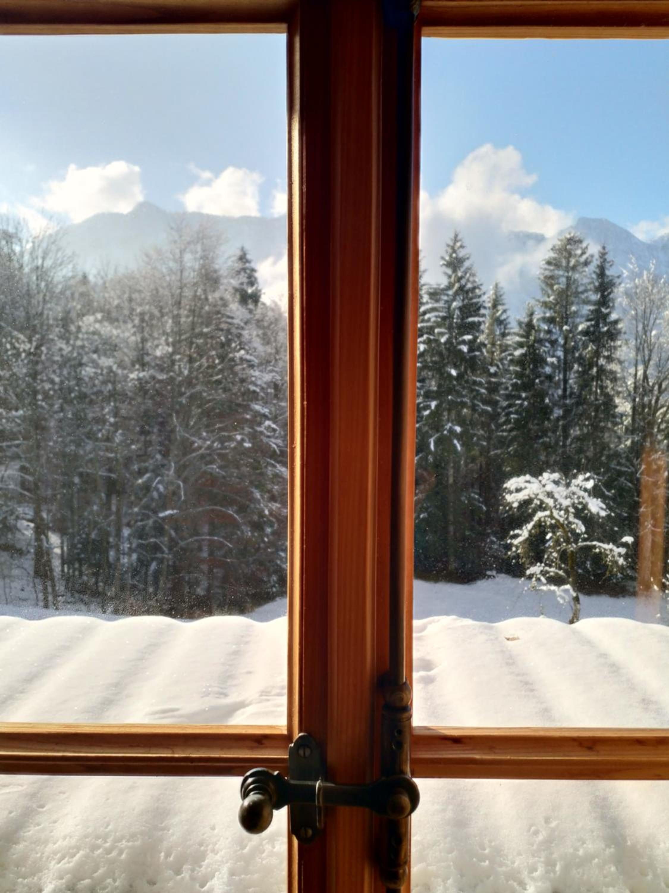 Waldharmonie - Chalet & Apartments