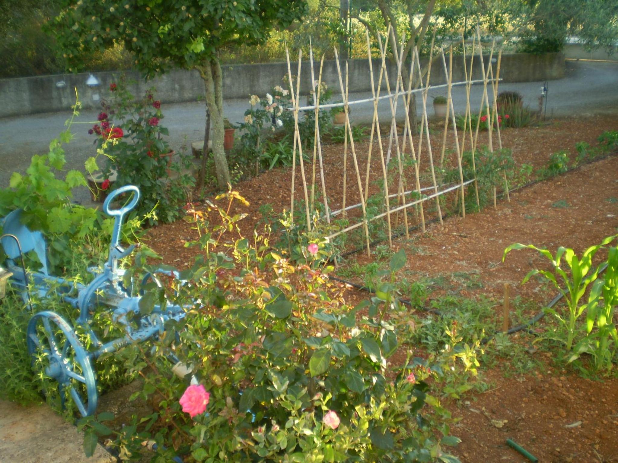 Photo 7