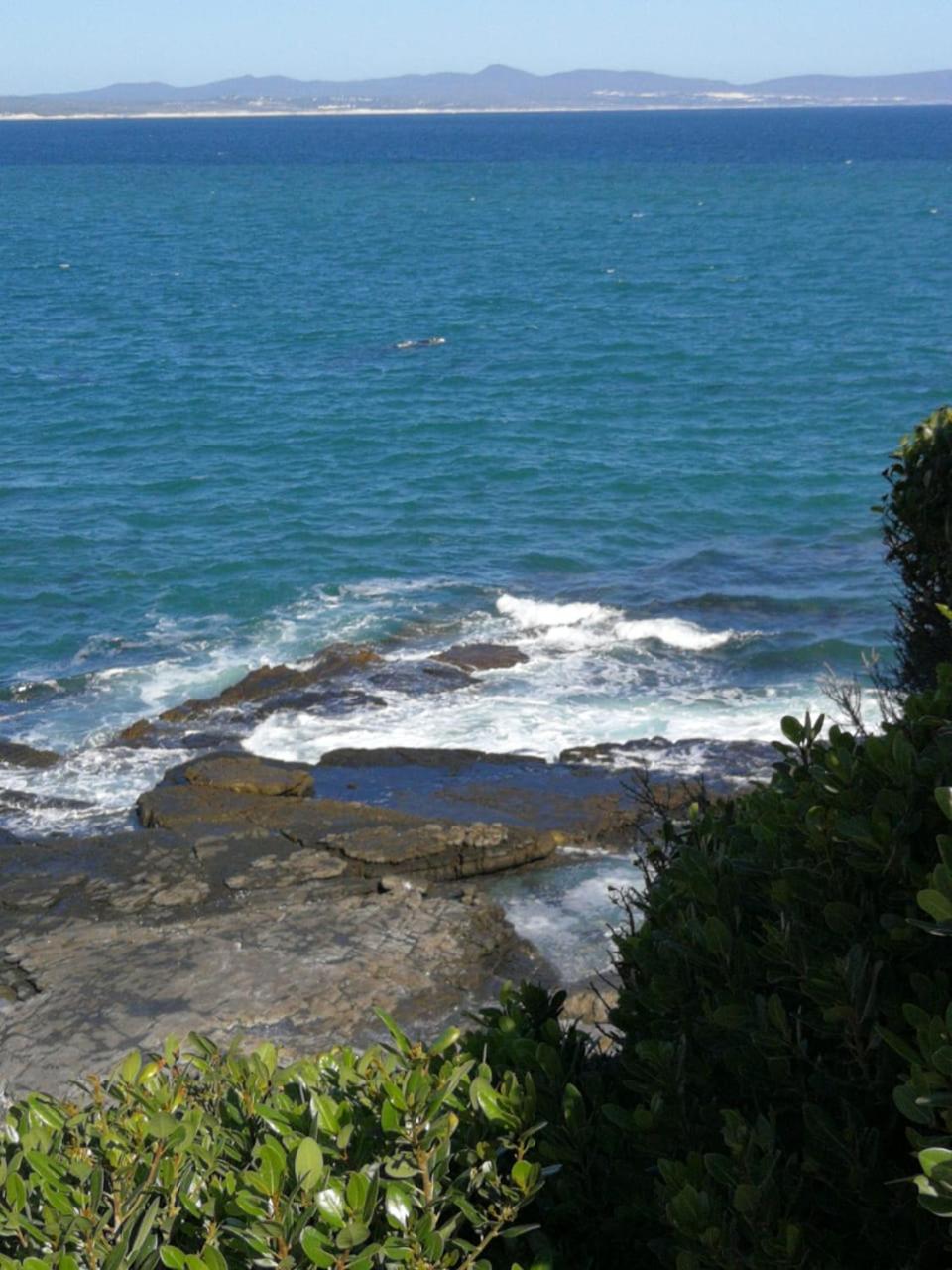 Photo 38