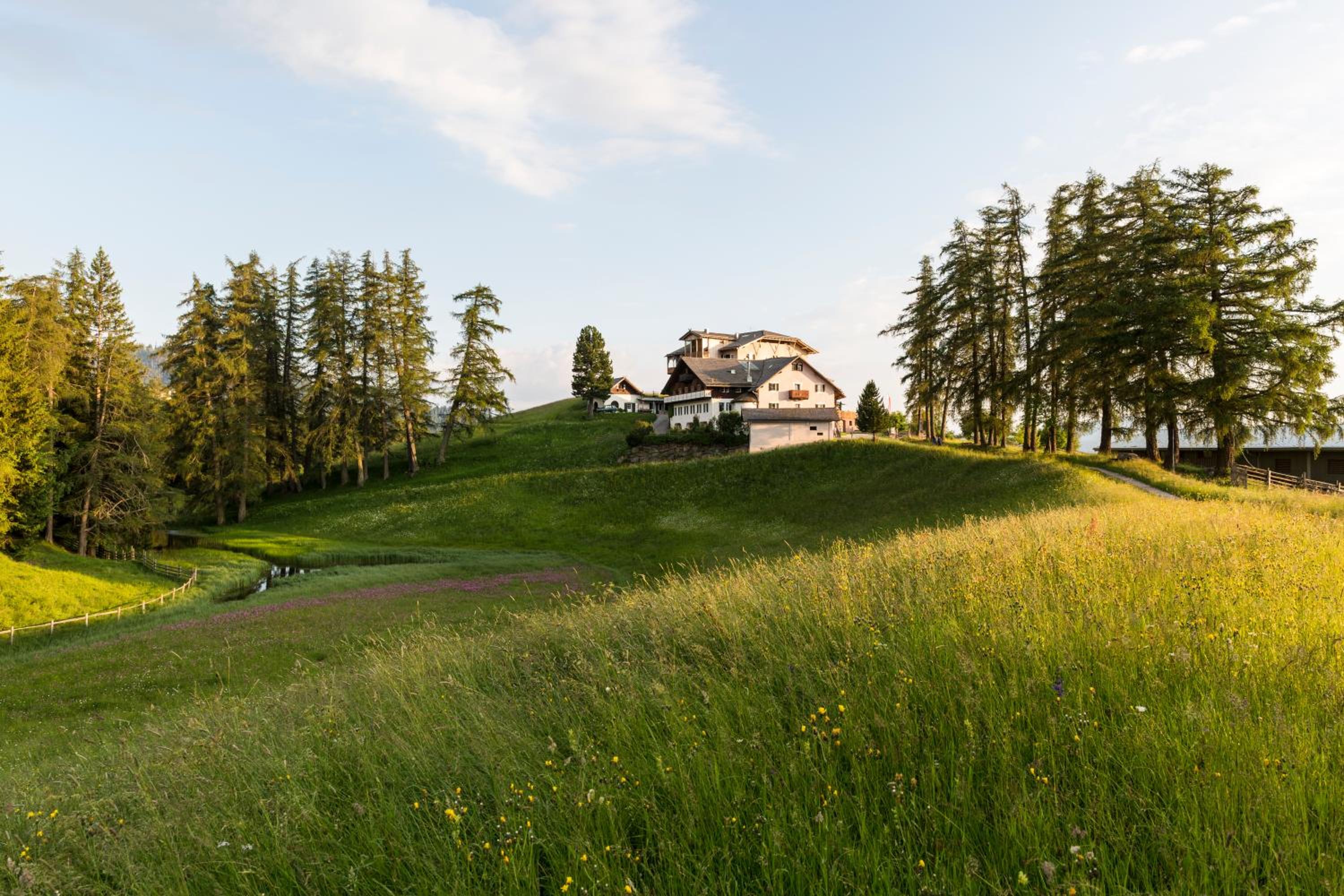 Berghütte Sommerstall