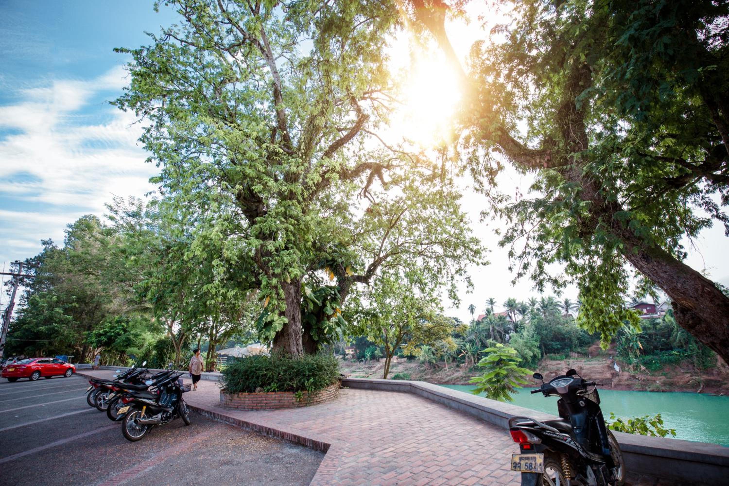 Luang Prabang Vacations - Ban Lakkham River View - Property Image 84