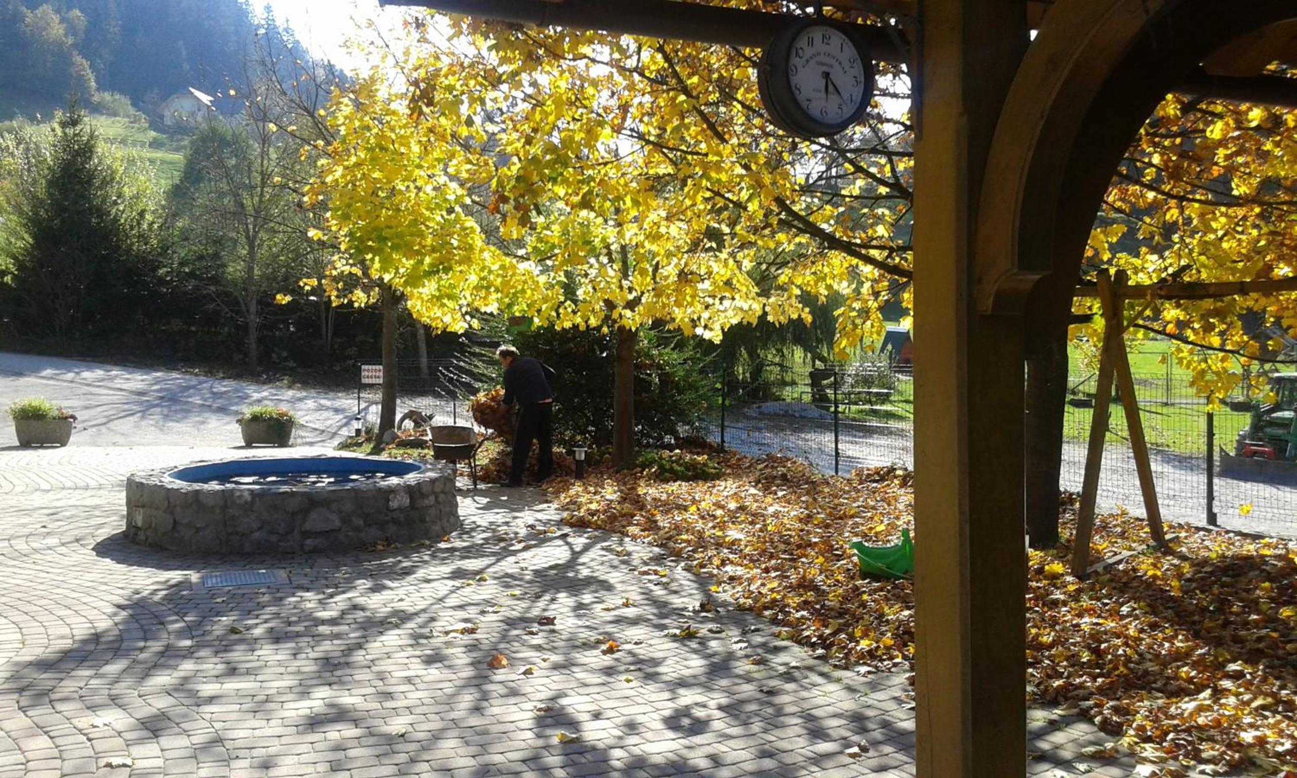Photo 17