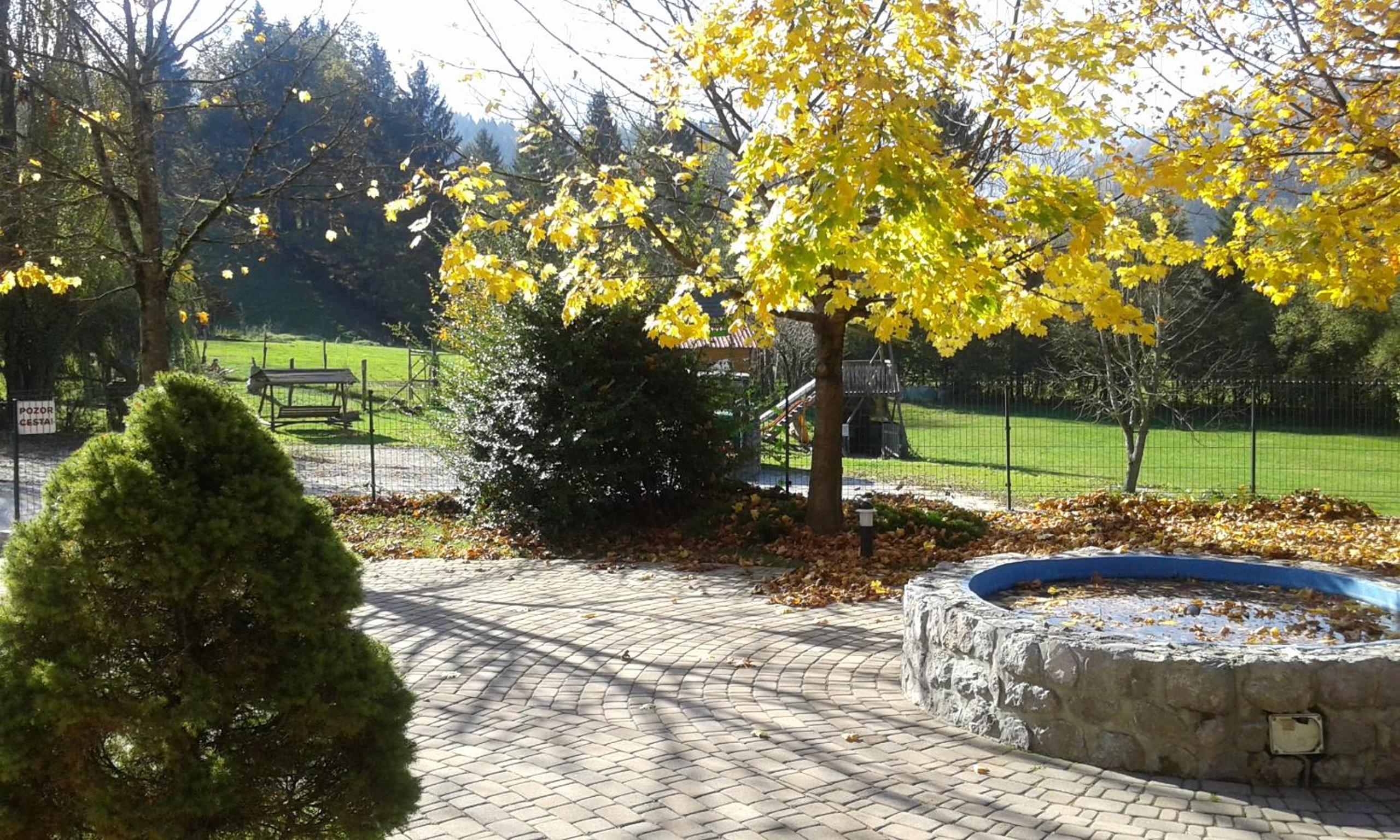 Photo 14