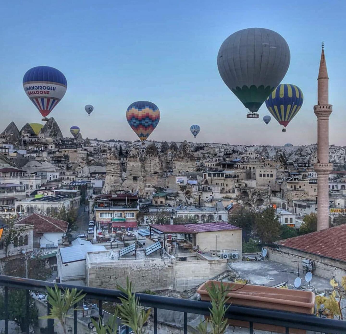 Arch Palace - Image 127