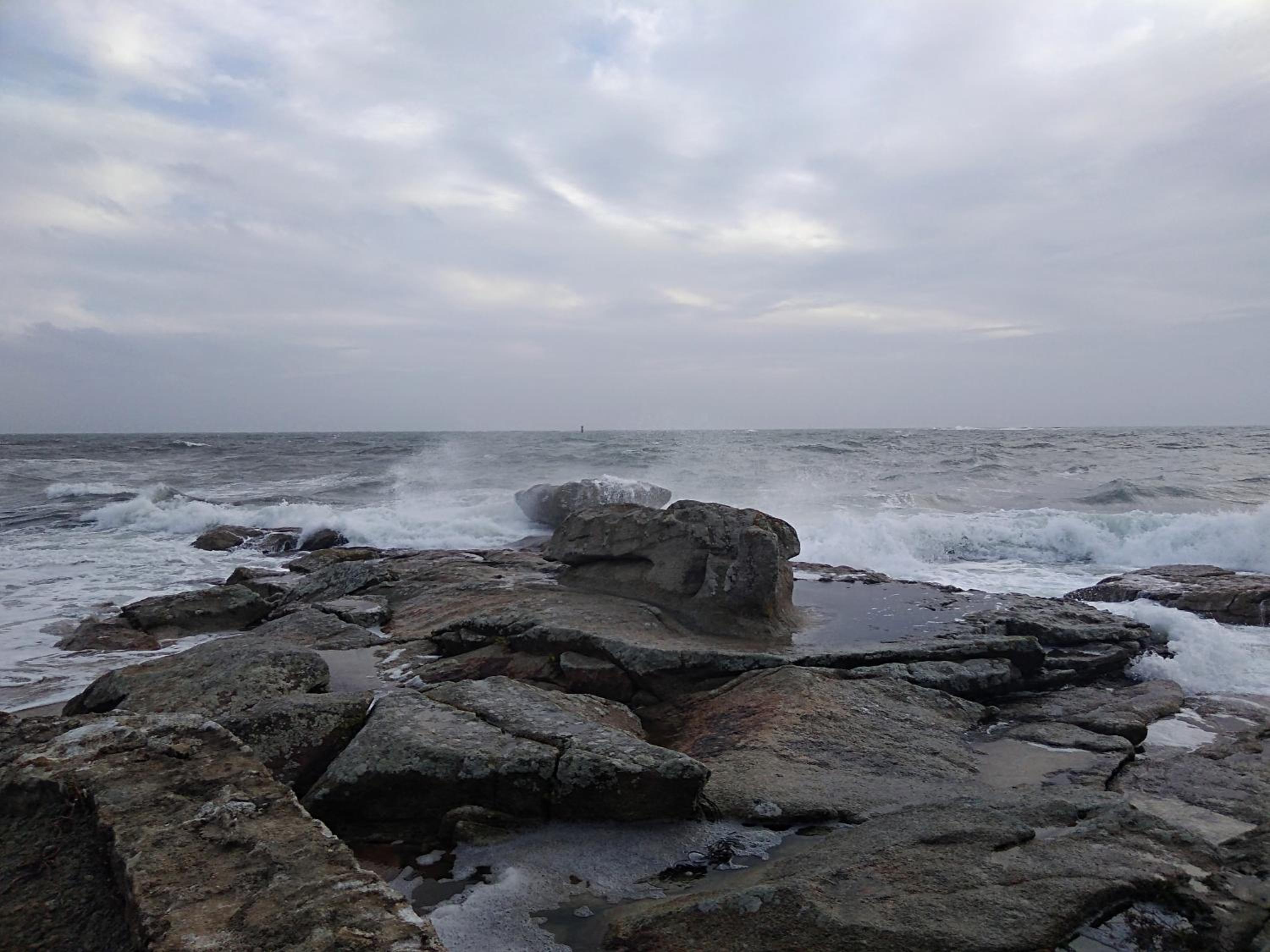 Photo 42