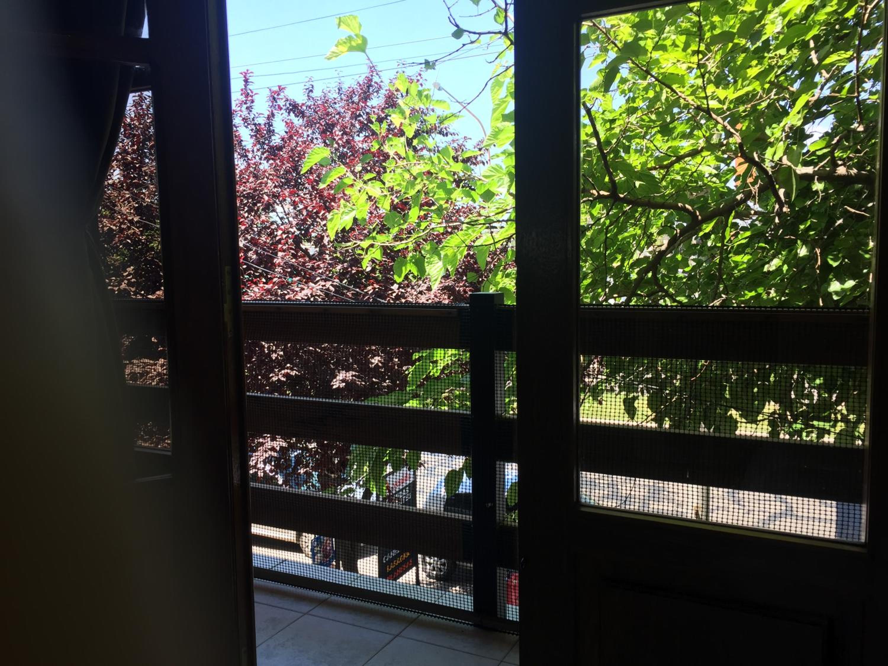 Apartamentos Irigoyen