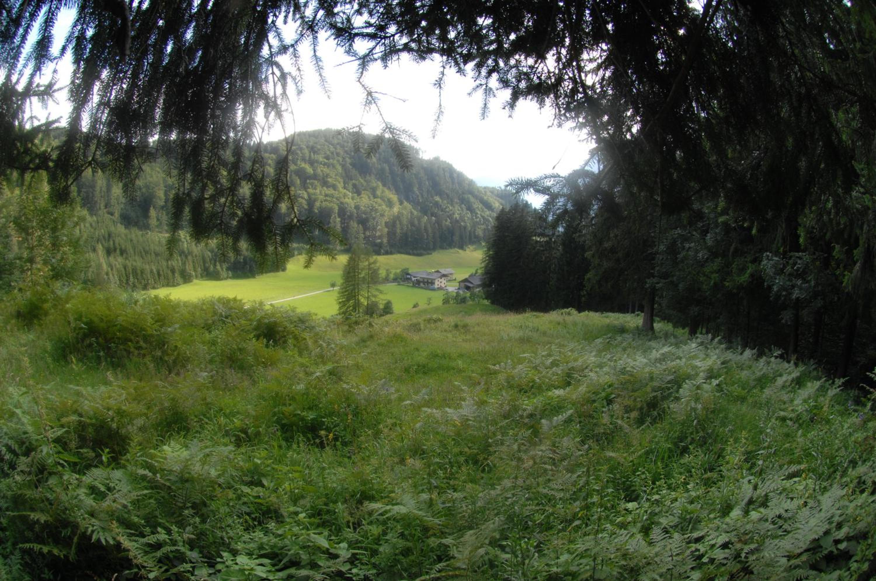 Hinterkellaubauer