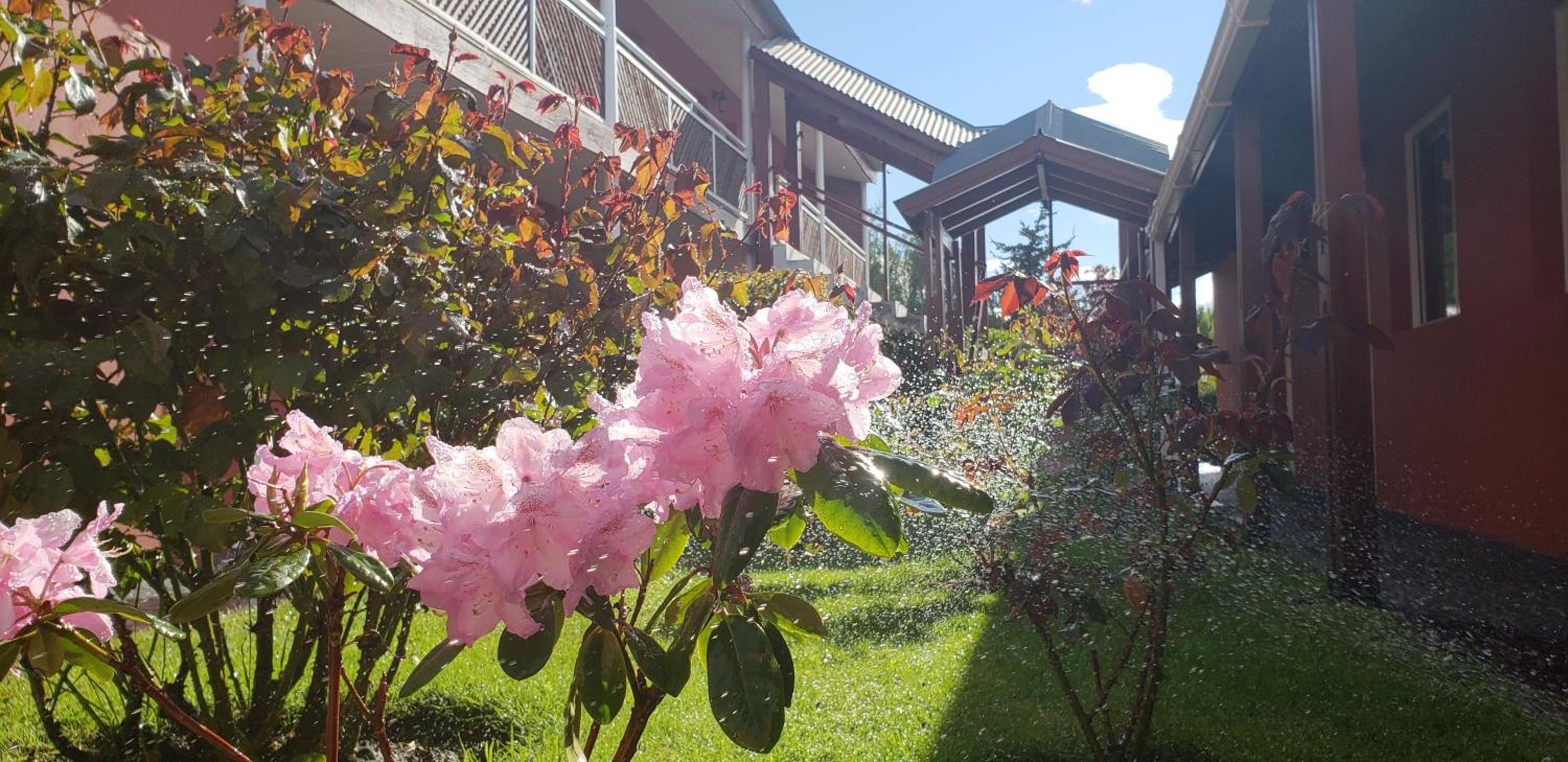 Hosteria Patagonia