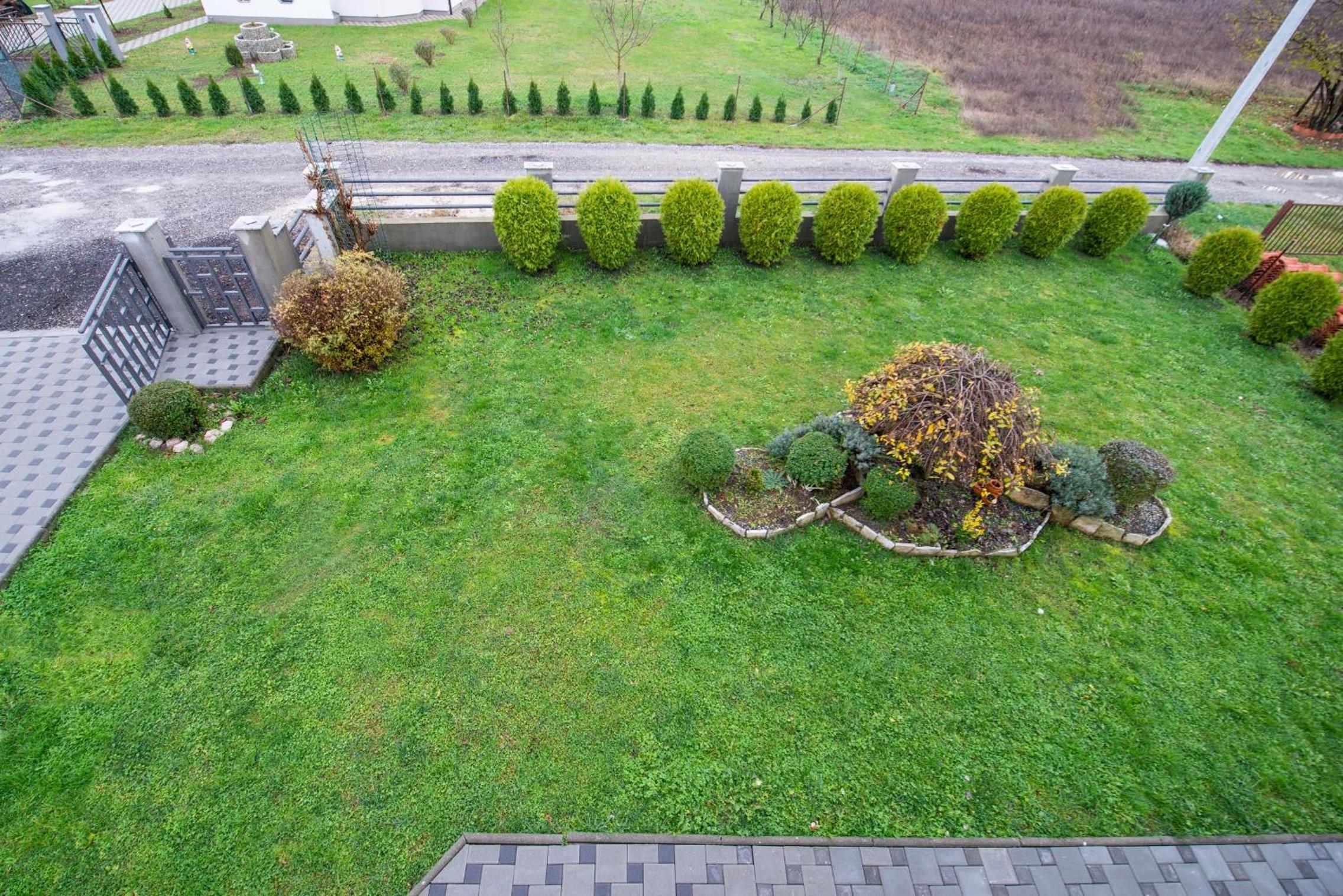 Photo 43