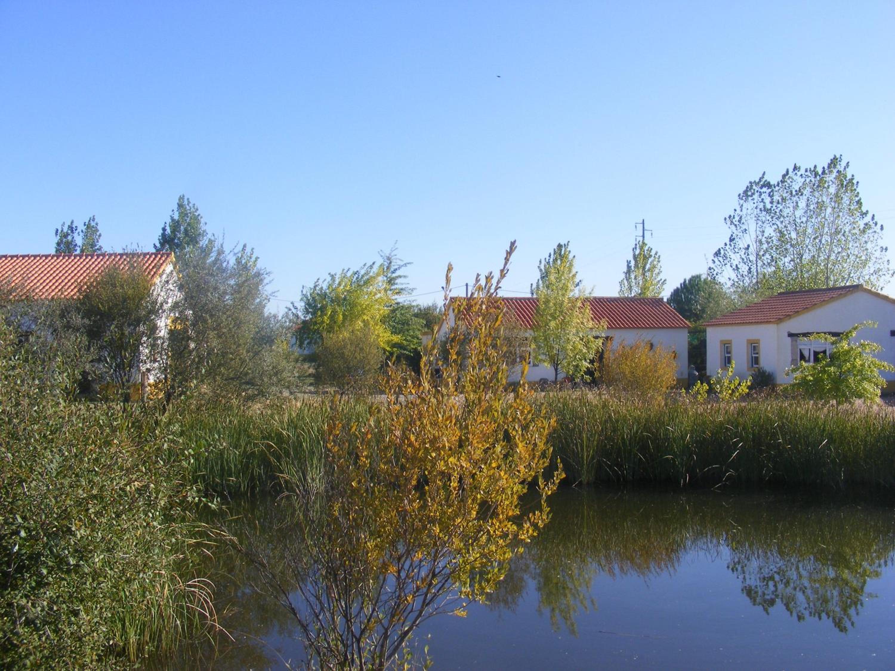 Photo 27