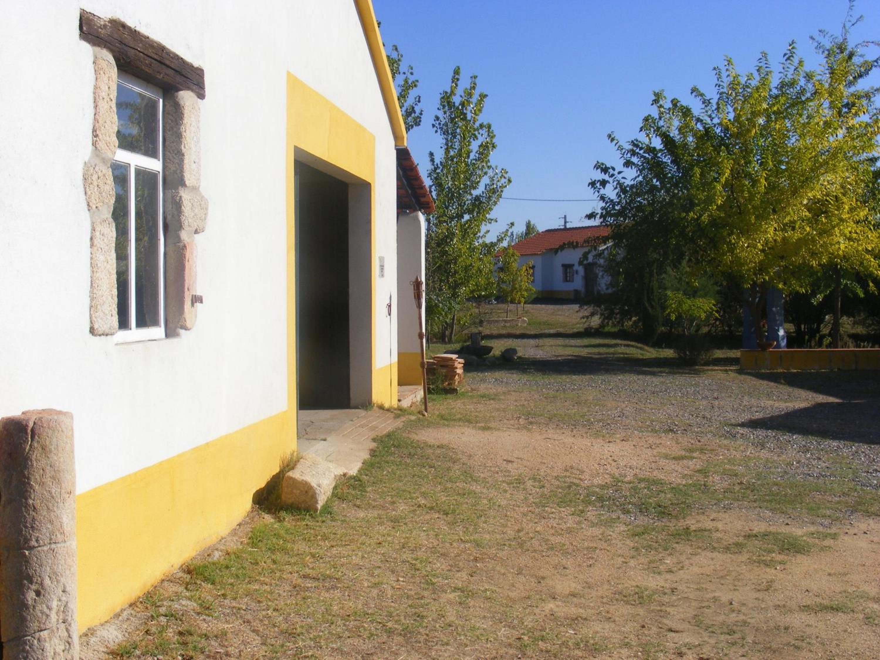 Photo 26