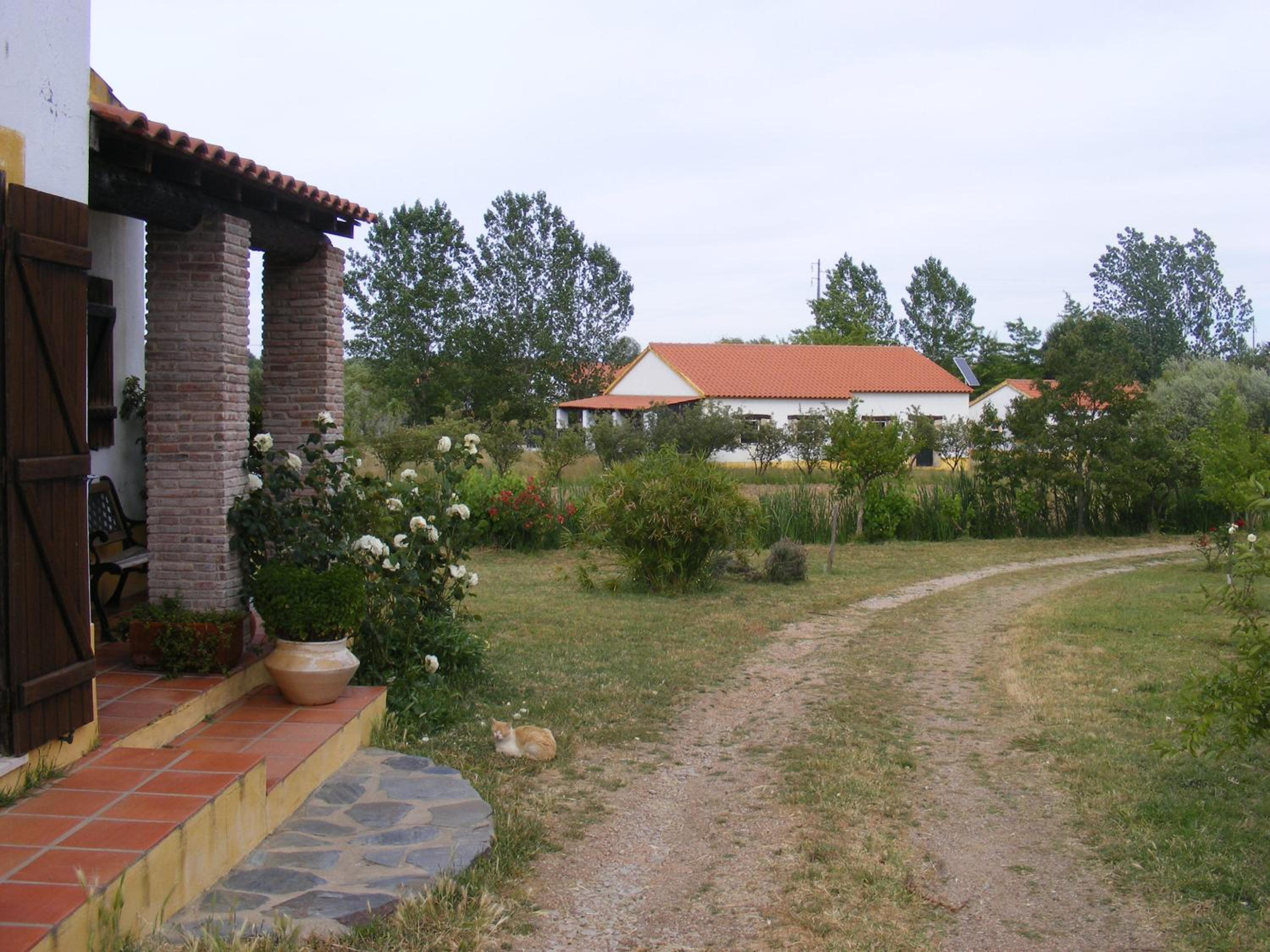 Photo 8