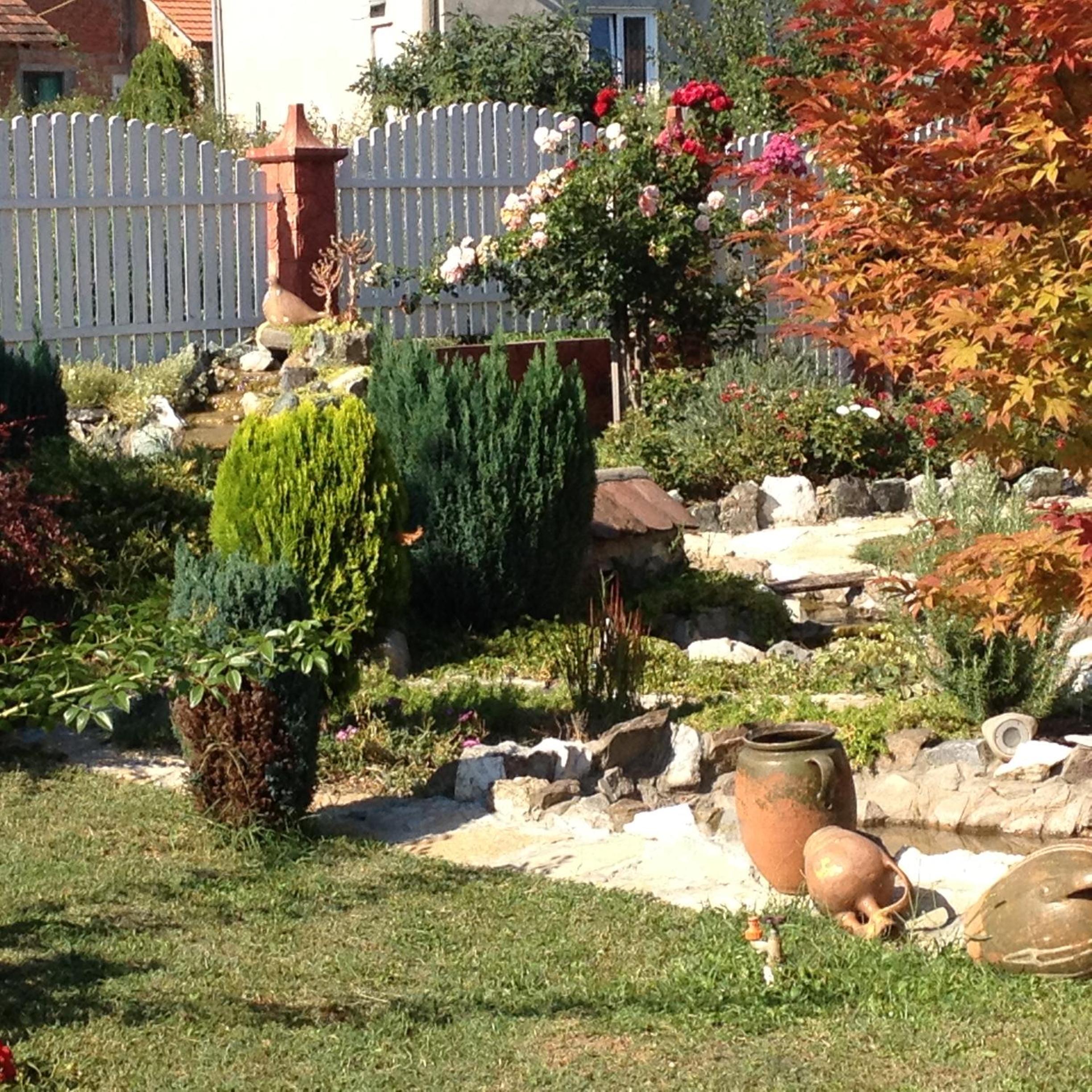 Photo 14