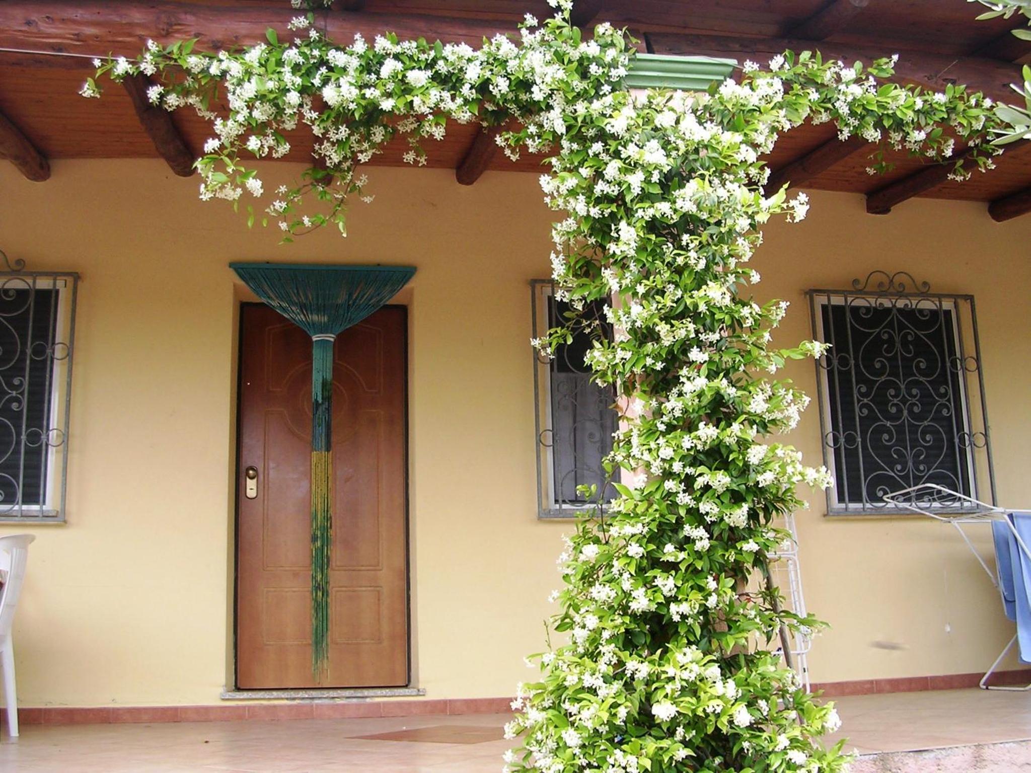 Villa degli Ulivi e delle Rose view 3