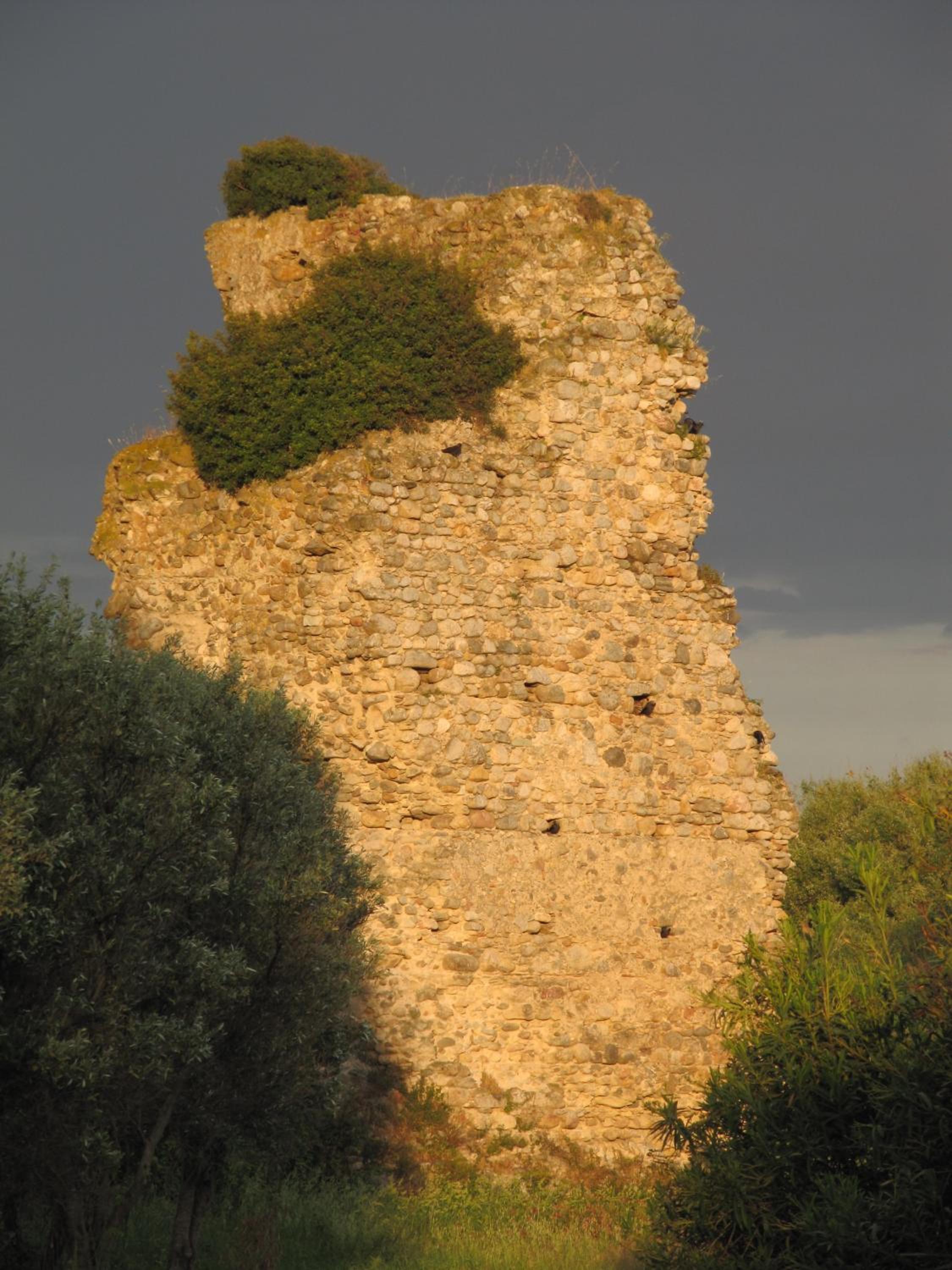 Photo 48