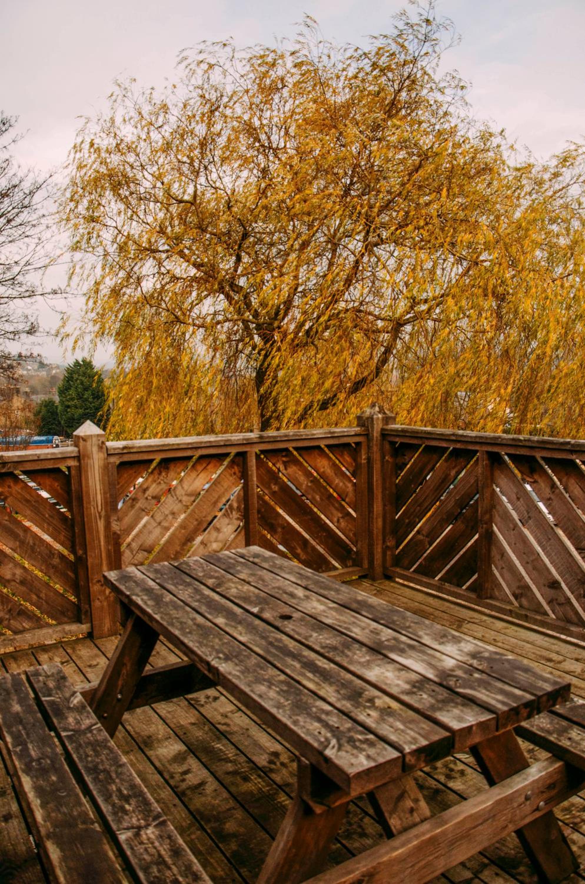 Outdoor Space