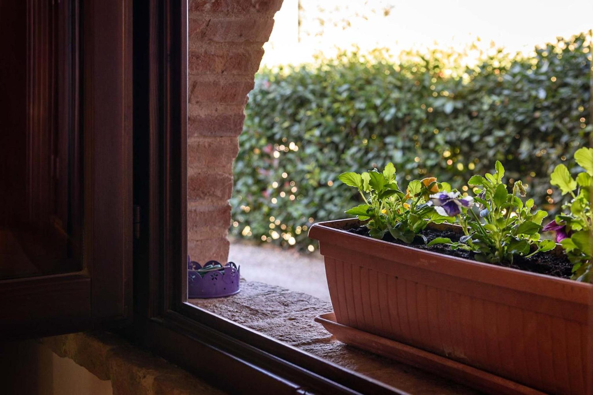 CasaJona Holiday, photo 25