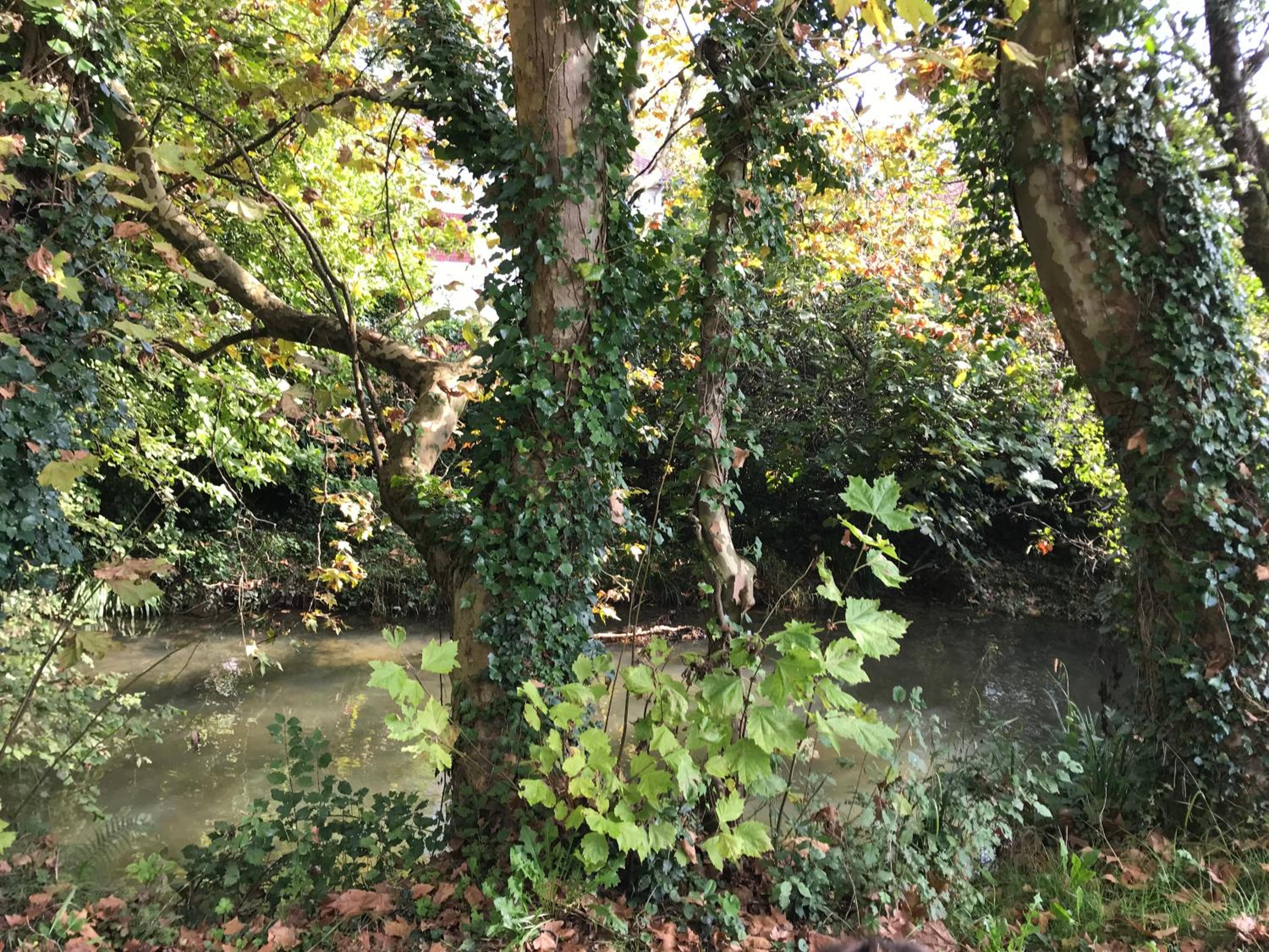 Camping Le Ruisseau