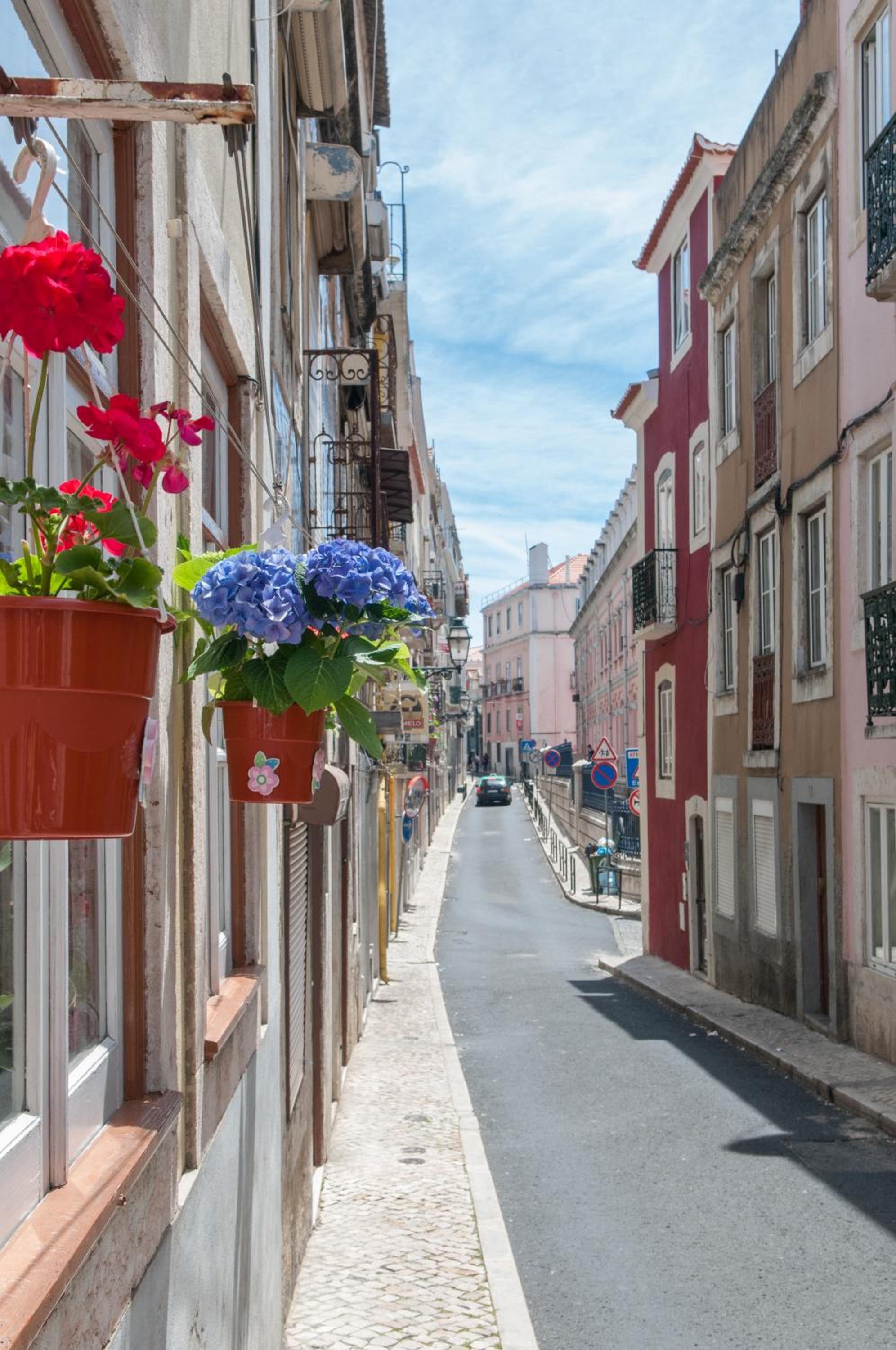 Charming City Centre Apartment