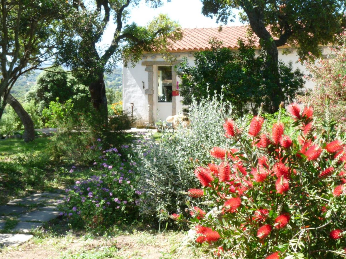 La Scala Guesthouse