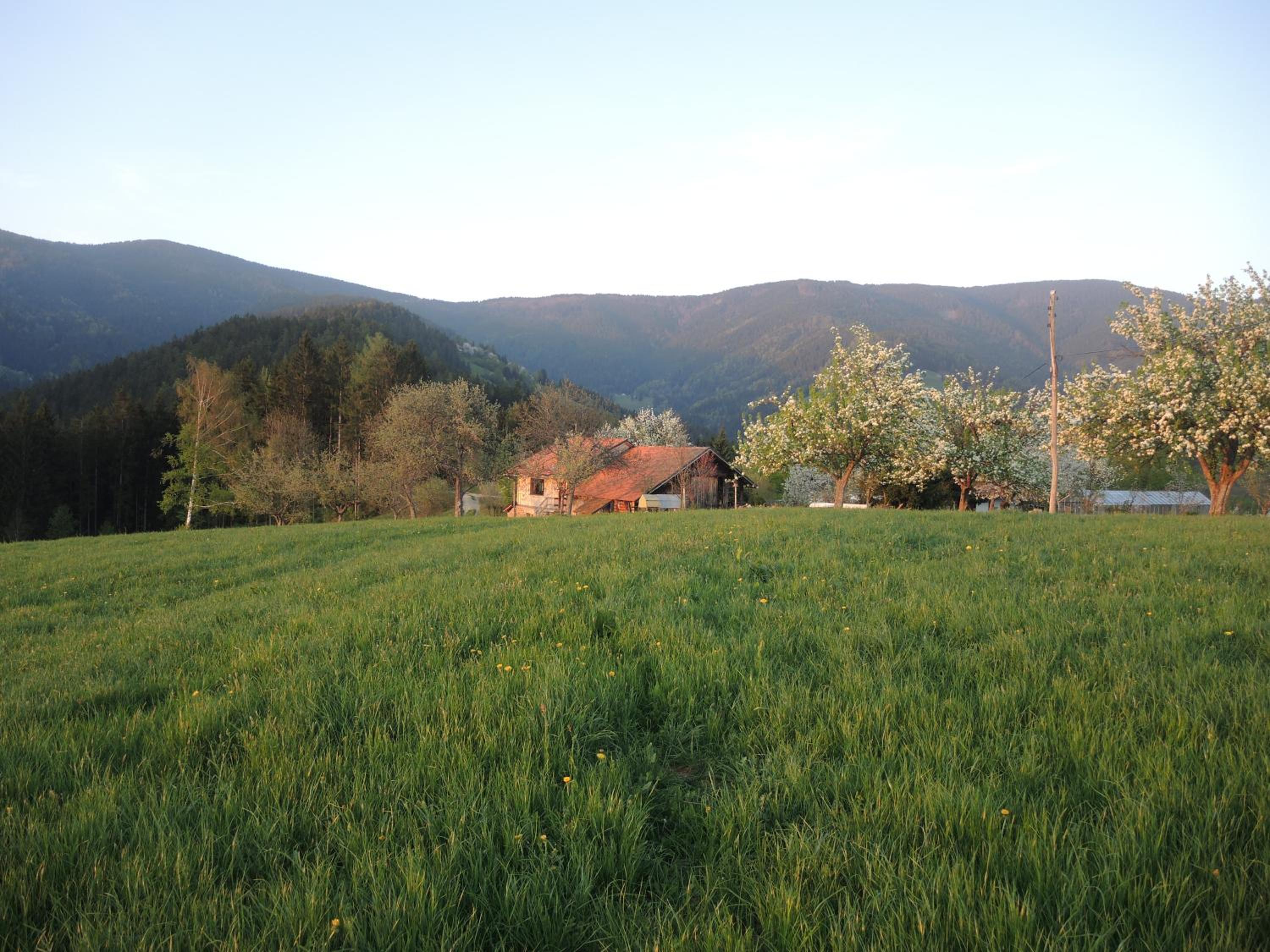 Razborca view 2